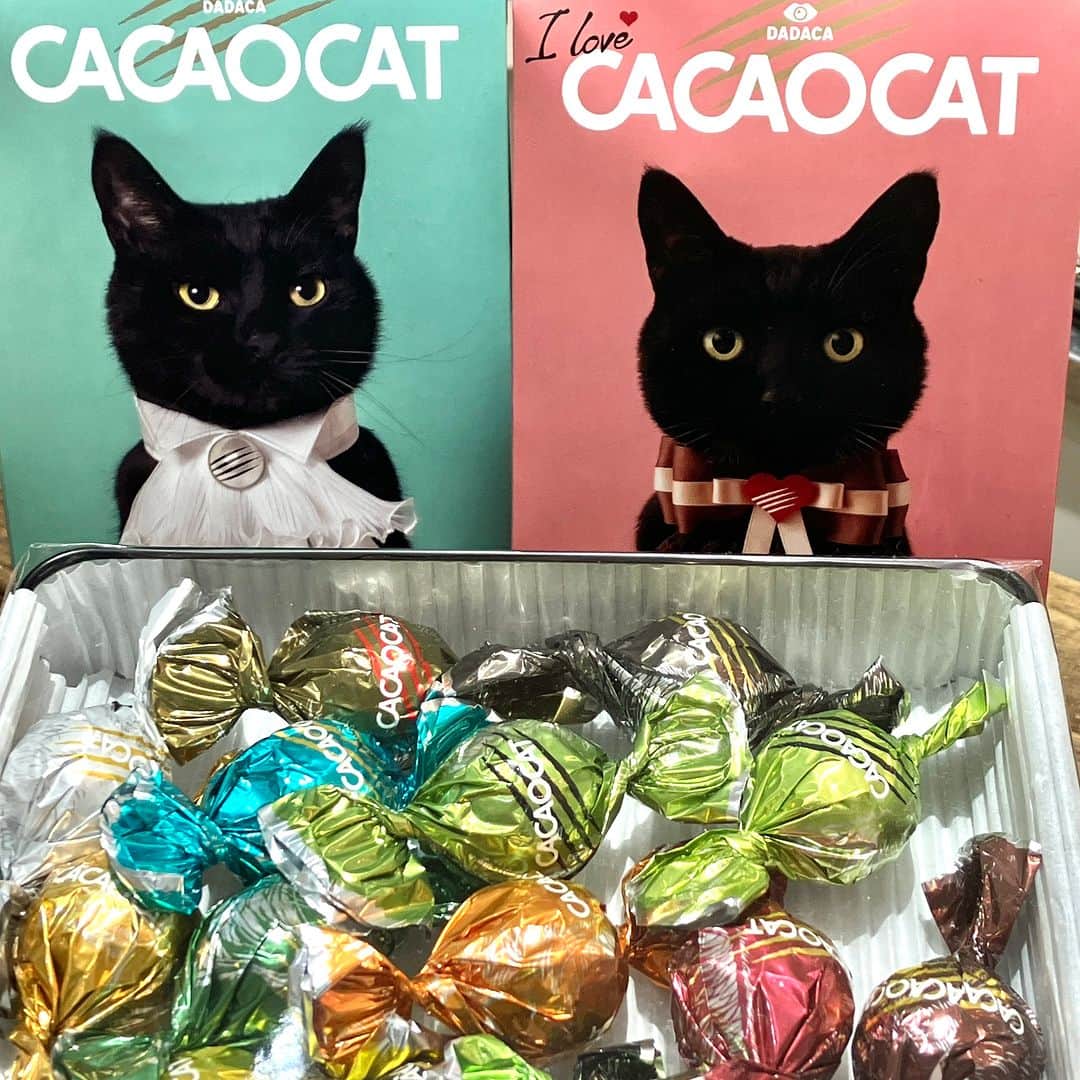daimarusapporoさんのインスタグラム写真 - (daimarusapporoInstagram)「チョコも❤ねこも❤❤ 3階 キキヨコチョに、北海道のチョコレートブランド〈#カカオキャット〉が登場🐈  個性豊かな猫のパッケージがかわいいチョコレートがご覧いただけます🥰  〈カカオキャット〉のチョコレートは、様々な味のクリームが入ったボール型のチョコ。 その種類はなんと30種！ポップでカラフルな見た目もワクワクします🌈  定番は、様々なフレーバーが入った「#CACAOCAT缶」。 缶に描かれた猫も表情豊かで、どれを選ぼうか悩んでしまいます……😸  ねこ好きにもチョコ好きにもたまらないチョコレート、この機会にぜひ味わってみてください🍫  ※5/23(火)まで  #大丸札幌 #キキヨコチョ #kikiyokocho #チョコレート #ねこ好き #チョコ缶 #北海道スイーツ #札幌スイーツ #お取り寄せスイーツ」5月16日 18時54分 - daimarusapporo