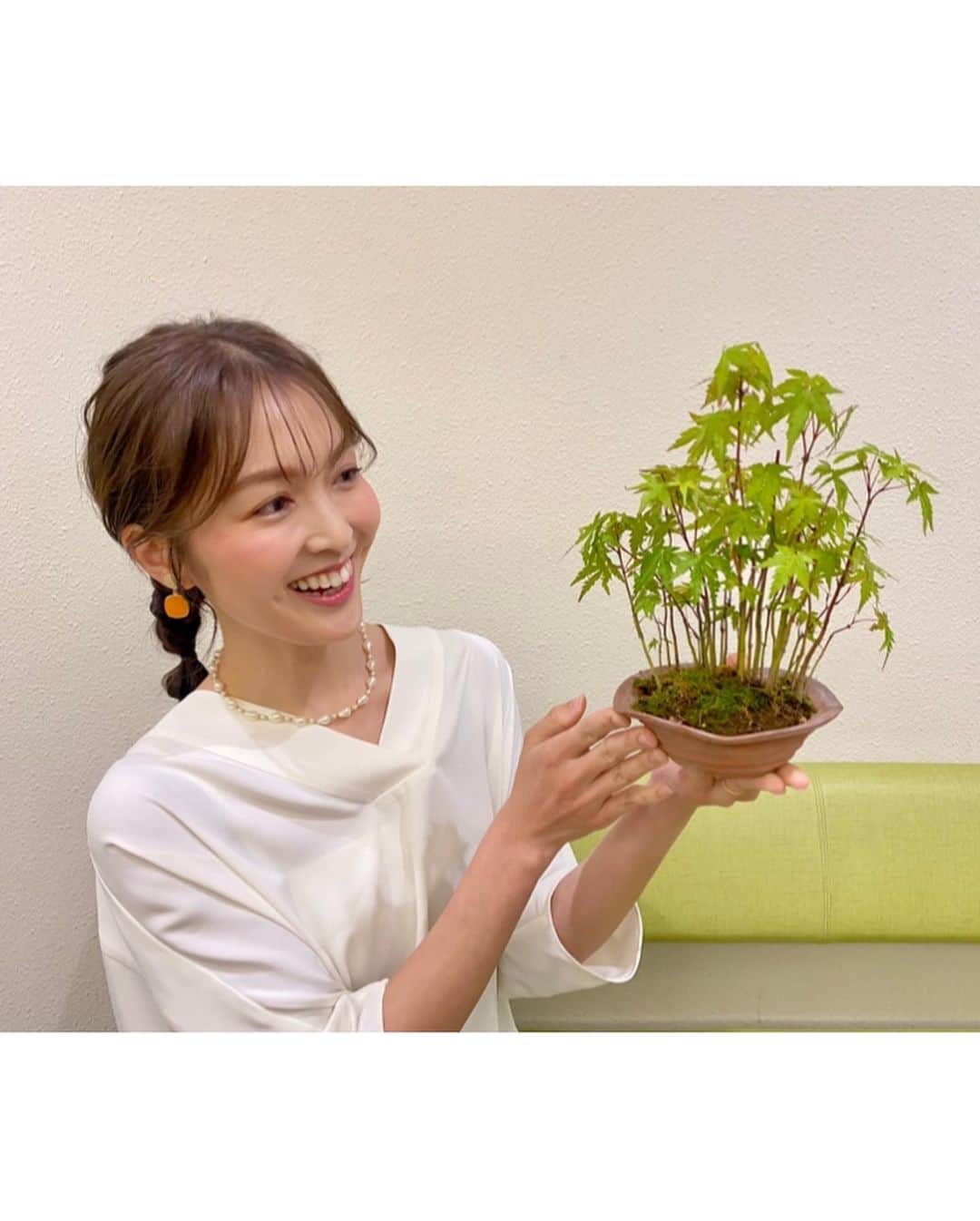 福田典子さんのインスタグラム写真 - (福田典子Instagram)「今日の #よじごじDays では、盆栽の世界をお届けしました。  "究め人"廣田敢太さんに剪定していただいたモミジの盆栽を頂いてしまいました！ありがとうございます！ これで私も盆栽の世界へ仲間入りです🌿  自然と衣装にもグリーンが…！ そして、後ろはいつもより一本多く…！笑 さりげなく楽しんでおります🤭  blouse ▷ #superiarcloset_ined_official bottom ▷ #7IDconcept necklace ▷ #crayme」5月16日 19時00分 - norikofukuda212