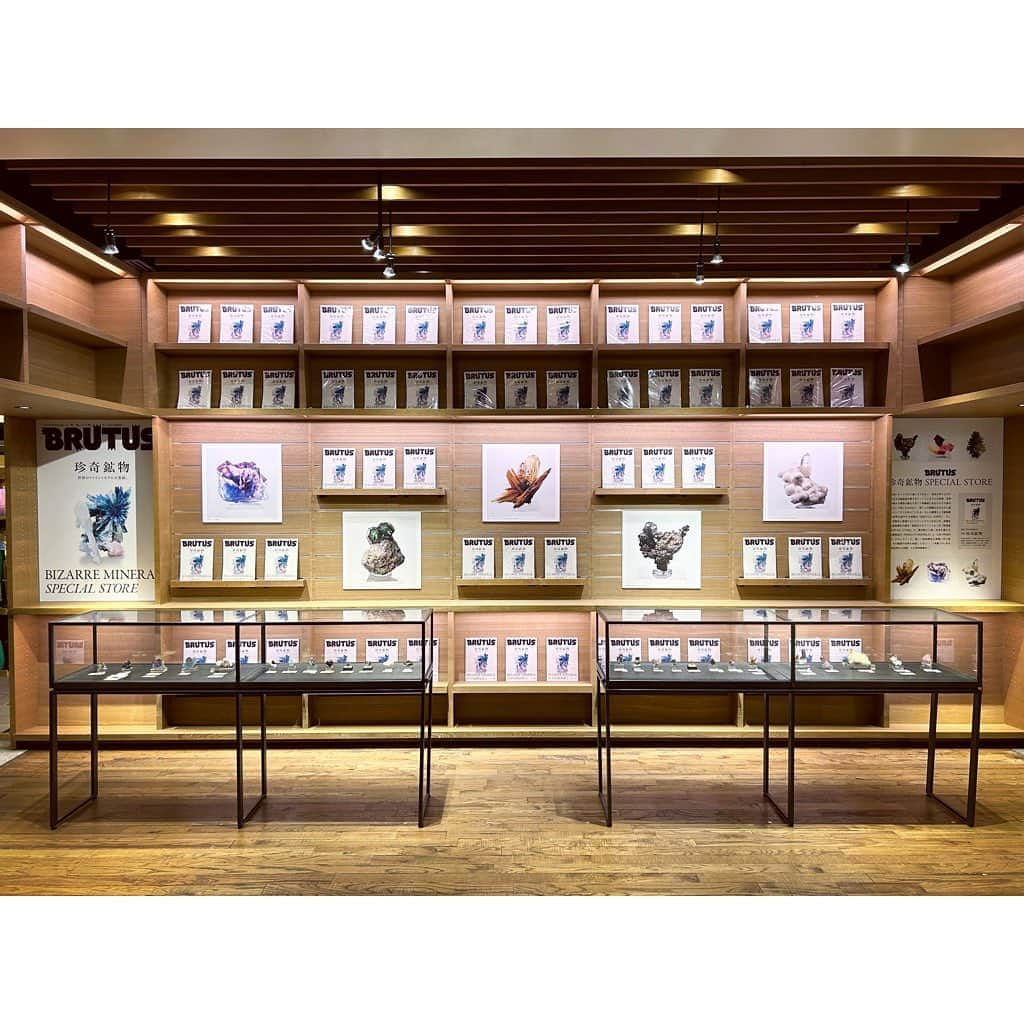 代官山 蔦屋書店　DAIKANYAMA T-SITEのインスタグラム