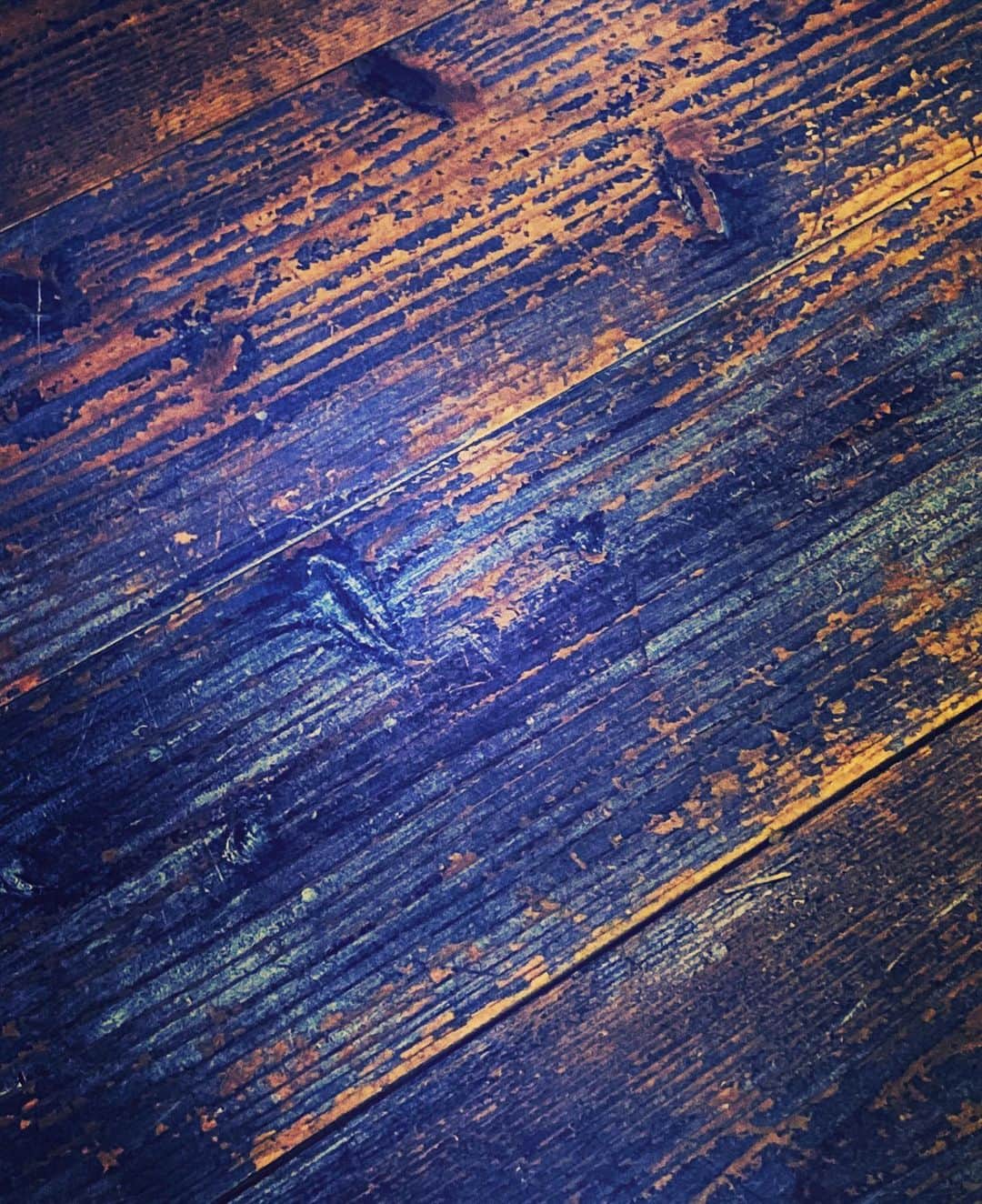 野本かりあのインスタグラム：「花鳥風月に敏感に心を奪われるのは、そういう歳になったからだと、人生の先輩に言われた事があった。 この写真はただの床だけど、美しいもの、心を奪われるものは、そこら中にあるよなぁと。 歳を重ねるのって良い事だ。」