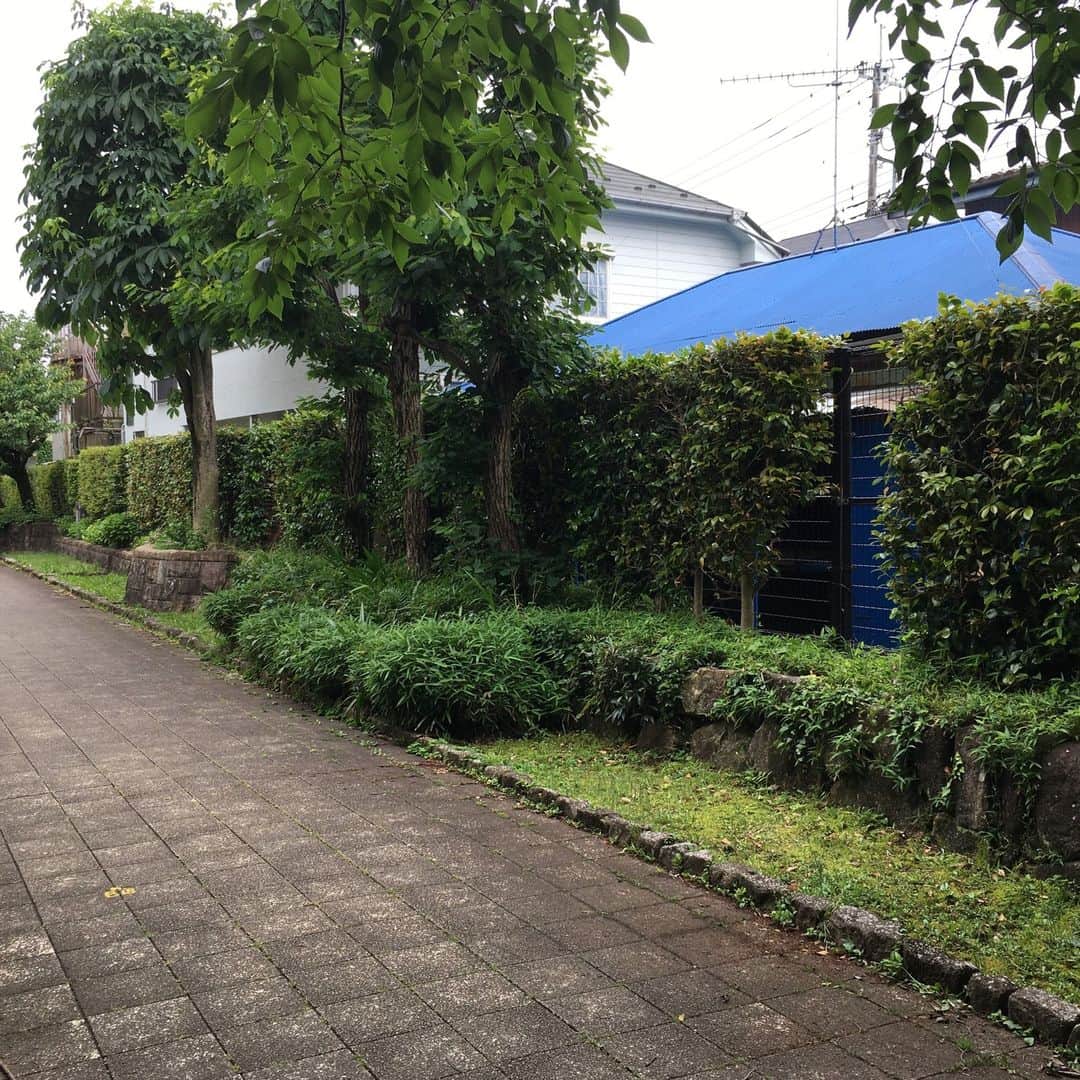 手紙社さんのインスタグラム写真 - (手紙社Instagram)「【手紙社不動産】  再建築不可のブルーなトタン屋根 DIYしたい人いませんか？  面白い物件を見つけちゃいました。場所は京王線京王多摩川駅から徒歩10分程度。緑道沿いに青い屋根が印象的な小さな平屋があるではありませんか。法律上の道路に接道していないため再建築不可といわれており、今の建物を壊すと建て替えできません。このボロい建物を改修して使うしかないので価格も手頃、なんと戸建て平屋で880万円。現地を見ると可愛さもある平屋で、ボロボロではありますが、手を加えるとありなのではないかと心が動かされます。シャワー室が裏手の倉庫についていて、海の家的な空間構成。緑道に面するので裏庭の活用次第で生まれ変わります。この選択はちょっと面白い人生になるのではないでしょうか。  インスタライブで配信します！  再建築不可のブルーなトタン屋根 DIYしたい人いませんか？？  配信日時：　5月18日（木）　12時～15分間  手紙社では今後、手紙社の店舗や事務所があるエリア（調布、松本、前橋）を中心に、レトロマンションの具体的物件を紹介していきます。また、手紙社周辺に限らず「こんなエリアでレトロマンションを探し ている！」という希望があればどうぞお寄せください。手紙社がリノベしたレトロマンションを販売する、ということも視野に入れています。  ▶ご相談・お問合せはこちらまで  　fudosan@tegamisha.com  ▶物件のご相談・お問合せはこちらまで 　fudosan@tegamisha.com  ▶【毎週、手紙社がおすすめするナイスな物件の情報が届くメールマガジンの登録はこちらへ】 https://docs.google.com/forms/u/1/d/e/1FAIpQLSfGrlTXNW7l-2f9prAFz1FYC9Gg7CVLhiyLcuBGUOIqBrAFTw/viewform  #手紙社不動産 #一杯のコーヒーから一軒の家まで #レトロマンション愛好会 #カントリーライフを夢見る会 #手紙社団地部 #寮や社宅をリノベし隊 #地方自治体とこらぼ隊  #手紙社の不動産相談所#不動産相談所#不動産#住まい#暮らし#丁寧な暮らし#古道具と暮らし#移住#リノベーション #団地リノベーション #マンションリノベーション#戸建てリノベーション#カフェ建築#カフェリビング#カフェダイニング#手紙社#手紙舎#TEGAMISHAREALESTATE#tegamisha#多摩川住宅#調布市中古マンション#調布市移住#調布市リノベーション」5月16日 19時37分 - tegamisha