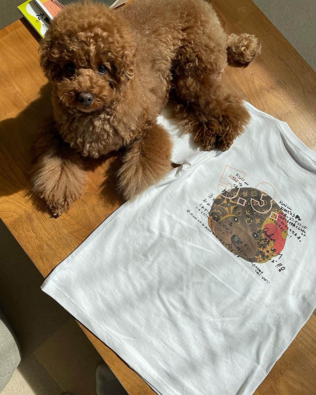 榊ゆりこさんのインスタグラム写真 - (榊ゆりこInstagram)「KUNの誕生日を祝ってくれたワンコ友達が書いてくれたバースデーメッセージ❤️ ビニール袋に書いたメッセージだったのだけど、捨てるなと半ば脅迫され🤣この形で残してみました👍✨ #Tシャツ#kun#バースデーメッセージ#ルイヴィトンではないよ#犬のイラスト#犬の絵#オリジナルTシャツ」5月16日 19時45分 - yuricosakaki
