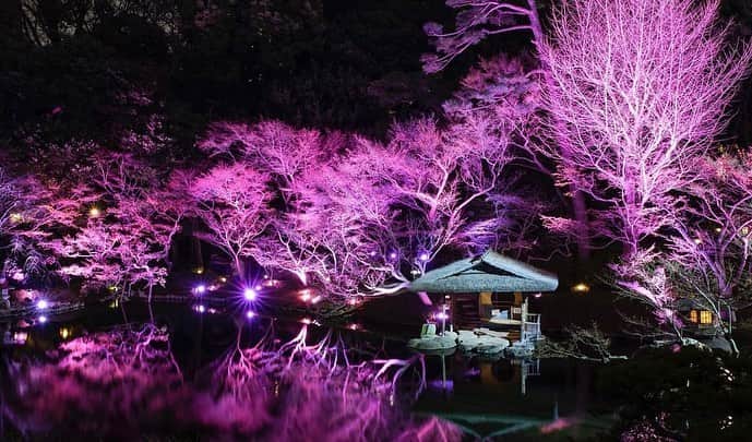 木嶋真優のインスタグラム：「来週月曜日✨ 5/22 東京白金八芳園 『Lightscape at HAPPO-EN 四季』 Vivaldi四季に合わせて 八芳園のお庭も表情を変えてコラボレーションします。 Vivaldi四季の後にDinner開始🍴 メニューもこの日の 音楽に合わせての特別メニューを作って頂きました。 公演後はサイン会もします🙋‍♀️ 是非楽しみにいらしてください。(詳細はストーリーに)  18:00の開場に合わせてアペリティフをお出ししていますが 公演自体は18:30からです。 お好きなお時間にお越しください☺️ 開場18:00 アペリティフタイム🍾 第一部 開演🎻18:30 第二部  Dinner🍴 19:30-21:00予定 この日限りの空間をぜひ楽しんでいただけたらと思います✨  この日の豪華なアンサンブルメンバーもお楽しみに💫 Vn.林悠介（読売日本交響楽団コンサートマスター） Vn .小林壱成（東京交響楽団コンサートマスター） Va. 鈴木康浩 (読売日本交響楽団首席奏者） vc辻本玲（NHK交響楽団　首席奏者） Cb. 石川滋（読売日本交響楽団首席奏者） Cemb. 大井駿 (敬称略)  #八芳園 #happoen #event #tokyo #白金台　#東京」