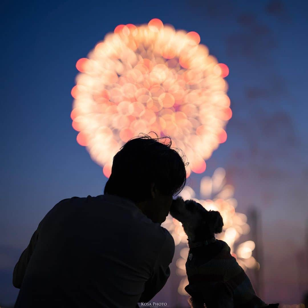 コサさんのインスタグラム写真 - (コサInstagram)「今年は通常開催される花火大会が多いみたいですね また忙しい夏がやってくるぞぉー‼️ . Location:大阪 Osaka / Japan🇯🇵 Date:2022年5月 Camera:Z9 / Z 50mm f1.2 in frame:ぽんず & @nob.ponz . #inuclub_jpn #シルエットが語る世界 #ポトレファン倶楽部 #ポトレ撮影隊 #jp_mood #その瞬間は永遠の思い出 #jp_portrait部 #何気ない瞬間を残したい #colors_portrait_gallery #clv_galerie #tokyocameraclub #art_of_japan_ #jgrv_member #team_jp_ #photo_jpn #sorakataphoto #LBJ_KING #bokeh_addicts #広がり同盟メンバー #special_spot_legend #bokeh_artistic #bokehphotofan #whim_member #wu_japan #私の瞳がきらめいた瞬間 #deaf_b_j_ #Rox_Captures #colore_de_saison #じゃびふる #japan_waphoto」5月16日 20時09分 - kosa_photo