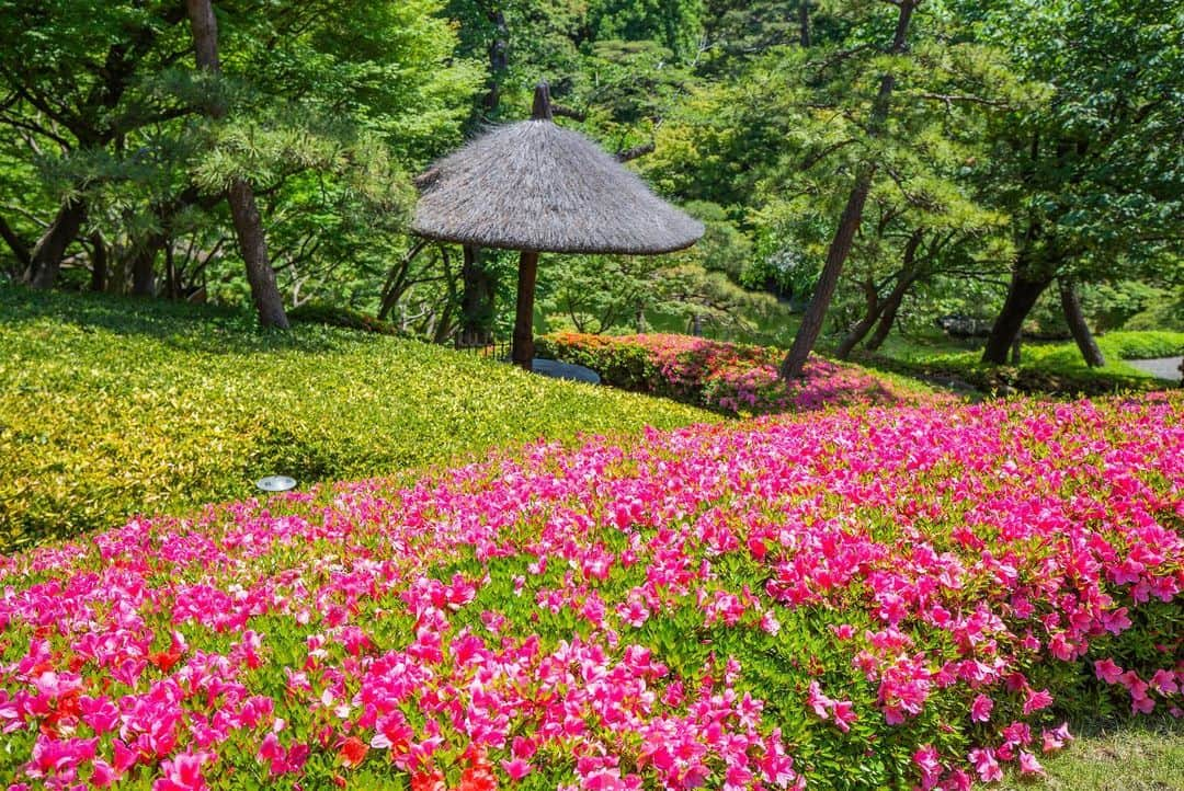 八芳園のインスタグラム