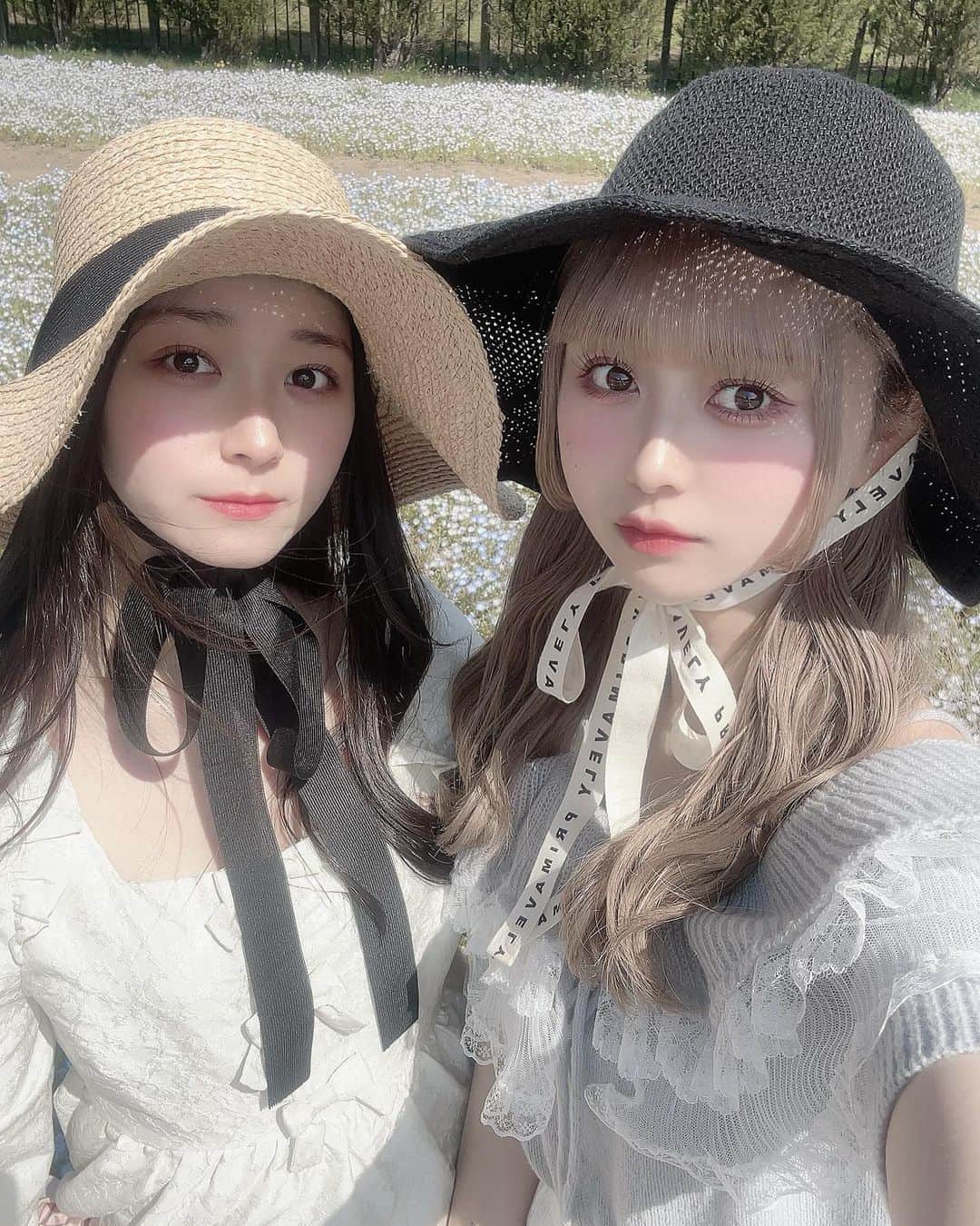 のインスタグラム：「family.       おねーたんとわぬわぬ 家族だいすき人間です！ぱぱとも仲良し👍🏻💗    #ネモフィラ  #犬  #まるぷー  #姉妹  #sister  #family」