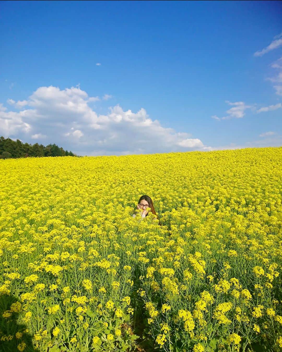 Hiromi Tomiiさんのインスタグラム写真 - (Hiromi TomiiInstagram)「こんばんわ😊 お写真は数年前のpic  この日のことよく夢で見る😊 . あたり一面菜の花畑で、 天国みたいな場所だなーって思ってた😊 . 天気が良くて、暖かくて、急に出かけることになったから、どすっぴんで😇 . 知らない間にたくさん写真も撮ってくれてて😊 . グーグルさんが毎日数年前の今日とか教えてくれるんだけどだいたい笑ってる写真😂それ見てしんどーって思うときもあるんやけど、（過去の自分がめちゃめちゃアクティブ過ぎて眩しくてしんどい😂😂😂😂）ご時世的に少しずつお外に出れるようになったからまた色んなとこに行きたい病☺♥ 残り半年強は、アクティブに行こ◎ . . . #京都食べ歩き #河原町 #木屋町 #kyotocafe #京都観光 #kyototrip  #菜の花　#お花好きな人と繋がりたい #yoga#筋トレ#ダイエット#ボディーメイク #筋トレ女子#ダイエット仲間募集 #京都　　#kyoto  #kyotojapan　 #京都散歩」5月16日 20時48分 - hiromi.tomii