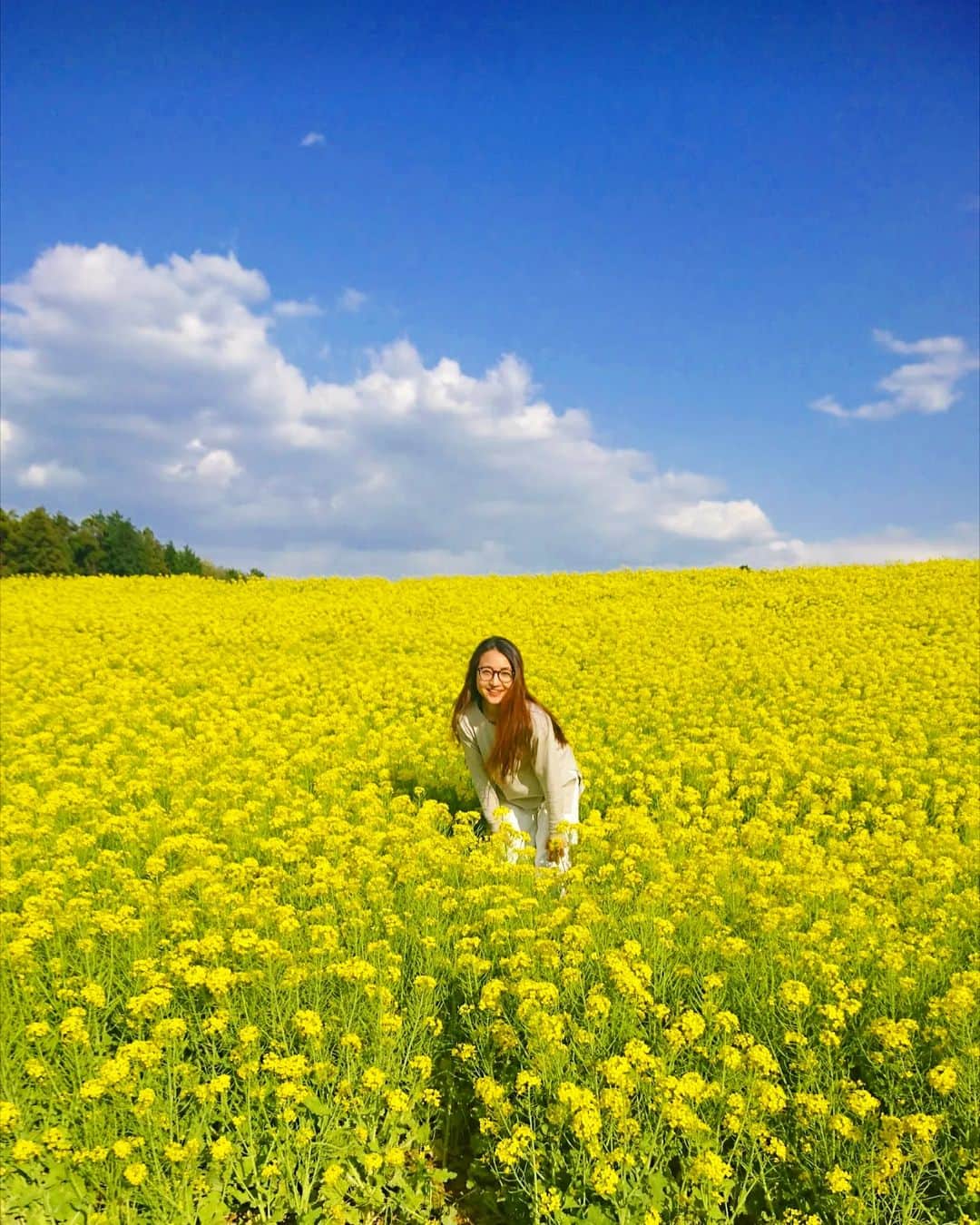 のインスタグラム：「こんばんわ😊 お写真は数年前のpic  この日のことよく夢で見る😊 . あたり一面菜の花畑で、 天国みたいな場所だなーって思ってた😊 . 天気が良くて、暖かくて、急に出かけることになったから、どすっぴんで😇 . 知らない間にたくさん写真も撮ってくれてて😊 . グーグルさんが毎日数年前の今日とか教えてくれるんだけどだいたい笑ってる写真😂それ見てしんどーって思うときもあるんやけど、（過去の自分がめちゃめちゃアクティブ過ぎて眩しくてしんどい😂😂😂😂）ご時世的に少しずつお外に出れるようになったからまた色んなとこに行きたい病☺♥ 残り半年強は、アクティブに行こ◎ . . . #京都食べ歩き #河原町 #木屋町 #kyotocafe #京都観光 #kyototrip  #菜の花　#お花好きな人と繋がりたい #yoga#筋トレ#ダイエット#ボディーメイク #筋トレ女子#ダイエット仲間募集 #京都　　#kyoto  #kyotojapan　 #京都散歩」