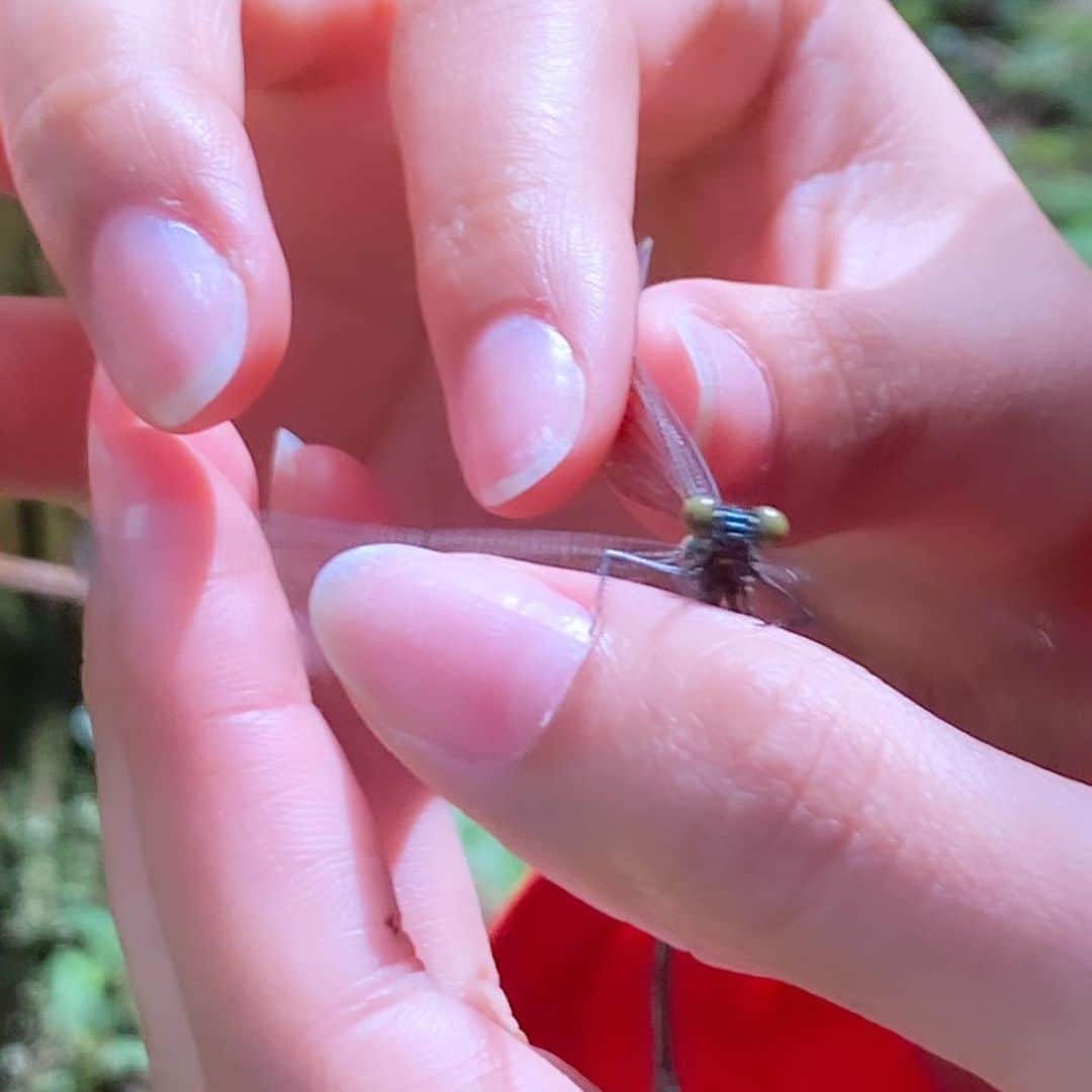 モラレスしれなさんのインスタグラム写真 - (モラレスしれなInstagram)「in 徳島  🌲🐞🚰💧🪨🍂🐍  水も生き物も全部大切！！！🌏💖  #nature #tokushima #雨乞いの滝」5月16日 20時48分 - keinarosario