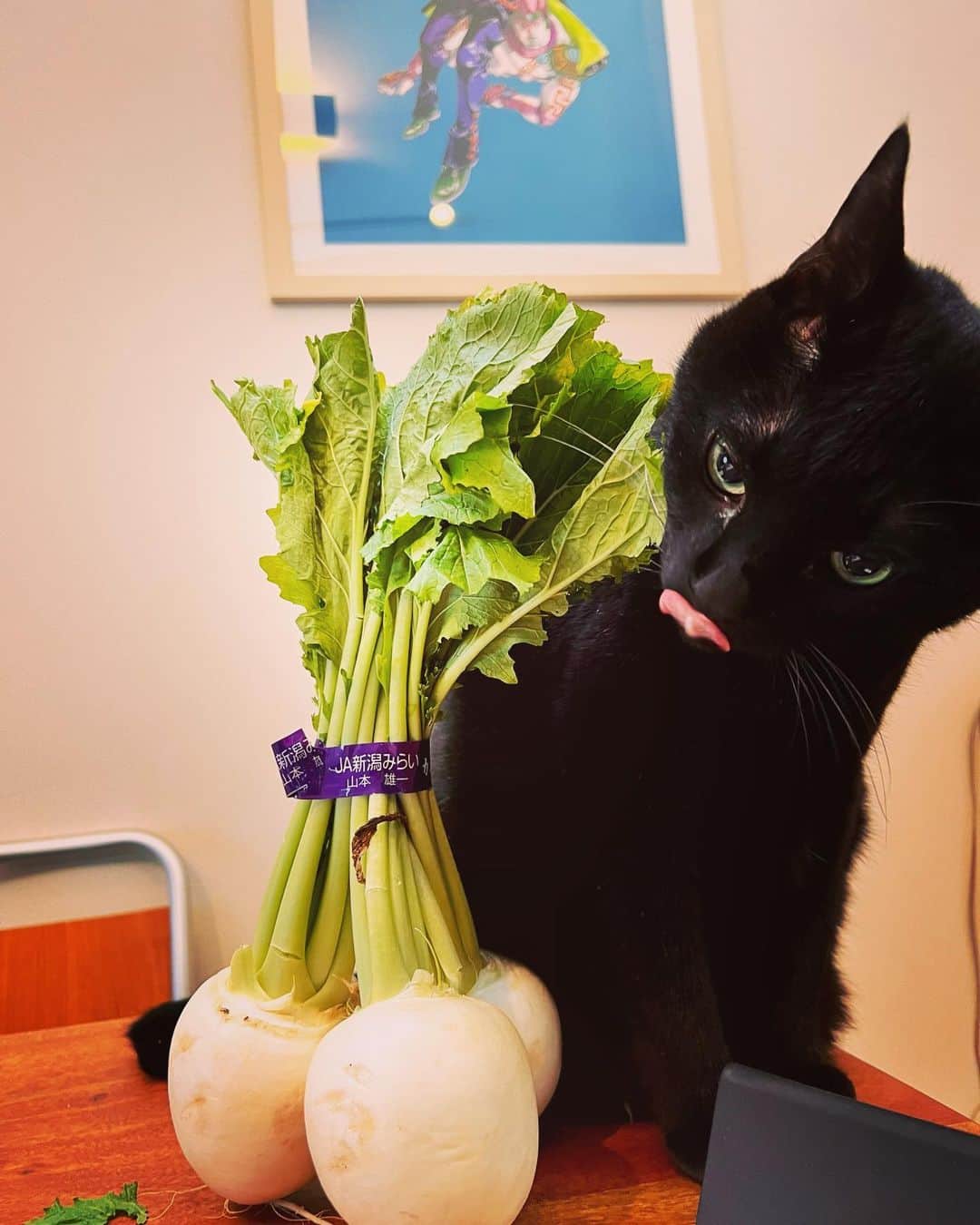 ピエール瀧さんのインスタグラム写真 - (ピエール瀧Instagram)「カブの葉っぱを食べる猫。」5月16日 20時51分 - pierre_taki