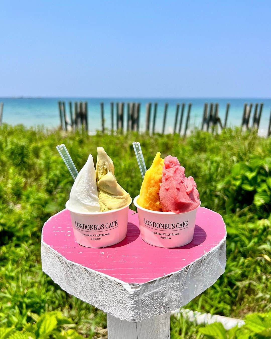 草野春香さんのインスタグラム写真 - (草野春香Instagram)「🍨🍓🥝🍋🥥🌈  📍𝐋𝐎𝐍𝐃𝐎𝐍𝐁𝐔𝐒 𝐂𝐀𝐅𝐄 糸島何回も行ってるのに ここのジェラートは初めてだった🧡🐚  #糸島カフェ #糸島グルメ #糸島ドライブ #糸島 #糸島巡り #糸島londonbuscafe #糸島スポット #福岡カフェ #福岡」5月16日 21時00分 - _haruka030_