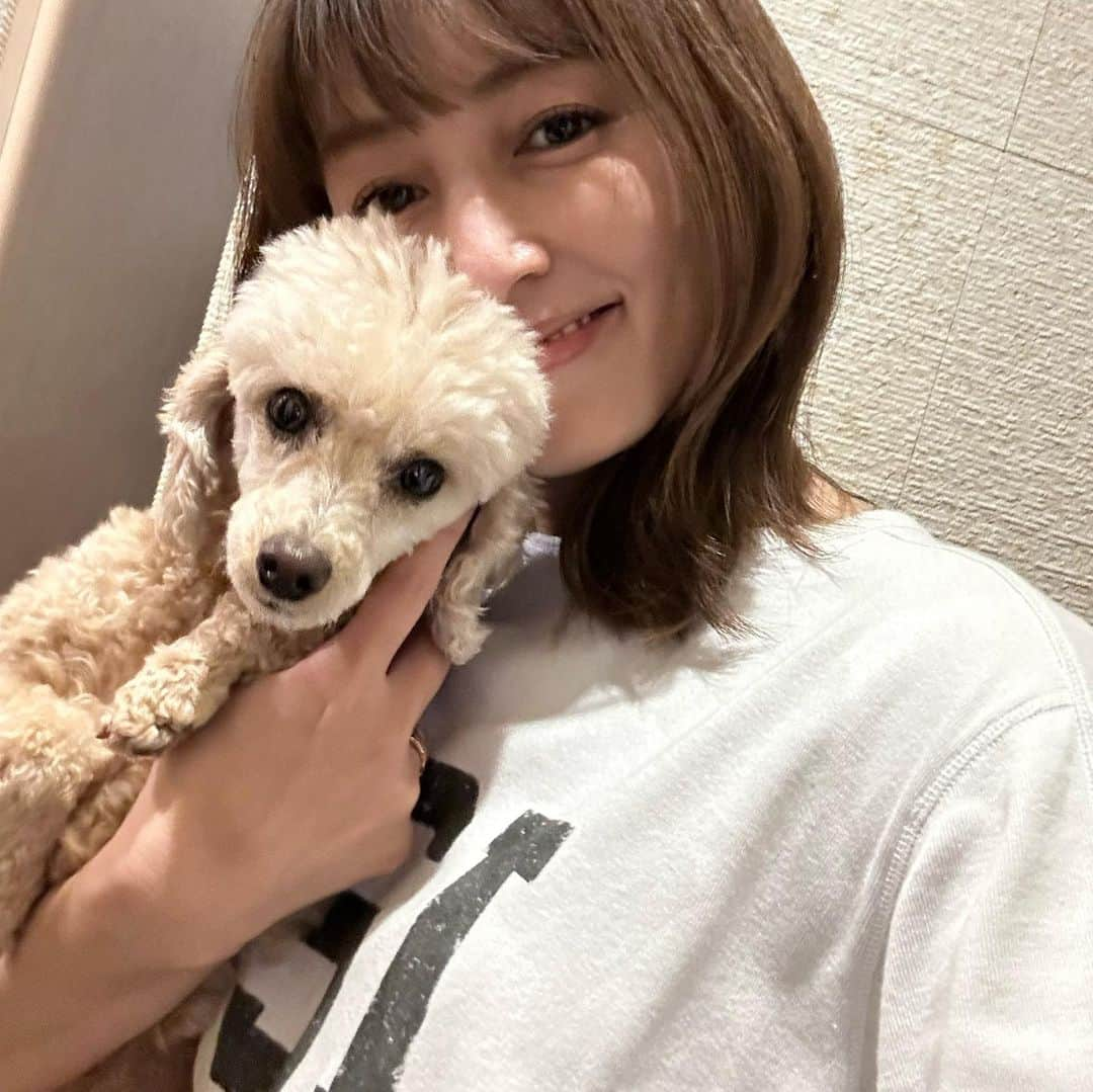 矢田亜希子のインスタグラム