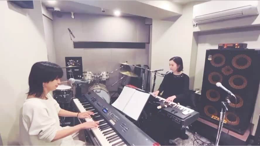 のインスタグラム：「【kainatsu×タイナカ彩智 360°LIVE「雨とタープの休日」】  初日の大阪公演がいよいよ今週末に迫ってます☺️  向かい合わせ。 このまわりにぐるりと客席○  5年ぶりのパノラマLIVEへ、ぜひ💫  🏕5/21(日) 大阪Cafe Room 14:30 / 15:00🌞 🏕6/3(土) 東京・下北沢ComCafe音倉 18:00 / 18:30🌙」
