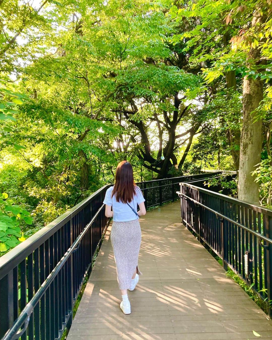 大寺かおりさんのインスタグラム写真 - (大寺かおりInstagram)「新緑の隙間から覗く木漏れ日💚 外に出たらあまりに暑くてビックリ。。 木陰が心地良かったです☺️🌳 . #新緑 #マイナスイオン #男の子ママ #1y4m」5月16日 21時42分 - kaori_ootera