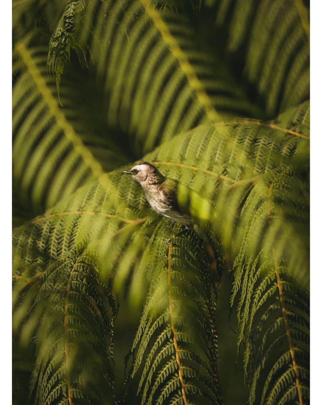 山中海輝のインスタグラム：「Hi.  #CanonR3」