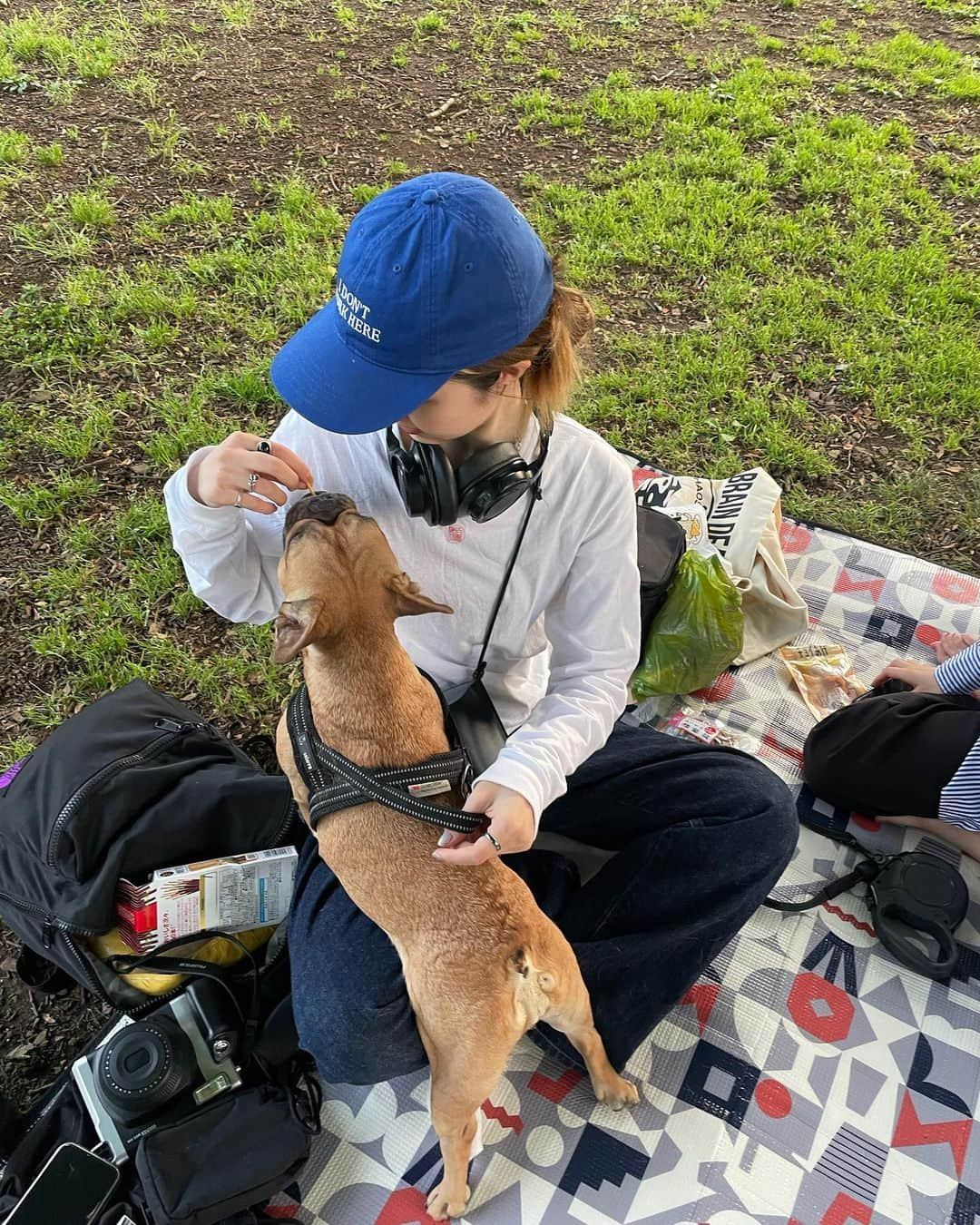 藤沢麻衣さんのインスタグラム写真 - (藤沢麻衣Instagram)「⠀ 🌍🤝📹🦮🌳🎧🧢」5月16日 21時58分 - fujisawamai