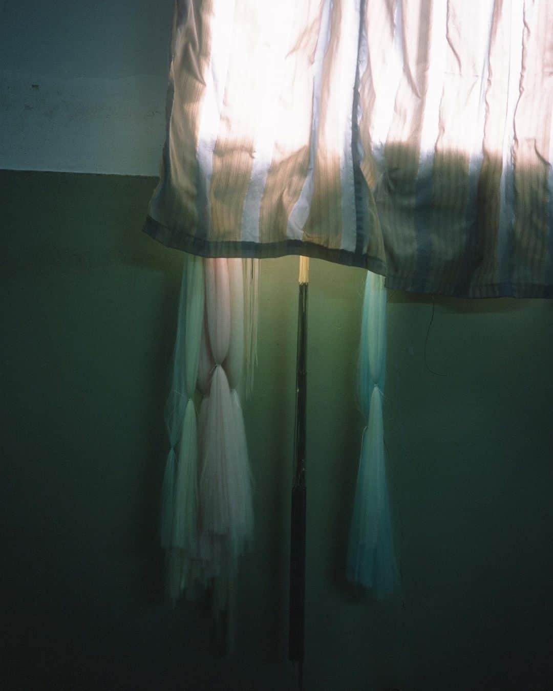 黒河内真衣子さんのインスタグラム写真 - (黒河内真衣子Instagram)「Bamboo Motif Willow Jacquard 薄いうすい羽衣のようなシルクの楊柳。竹林の中にいるようなゆらめきは経緯共にシルクの強撚糸を使って生まれたうねりです。ざわわーとゆるやかに揺れる景色を思い出して描きました。 それにしても何度行っても美しい光だなぁと思う工場内です。  #mamefactory」5月16日 22時23分 - mamekurogouchi
