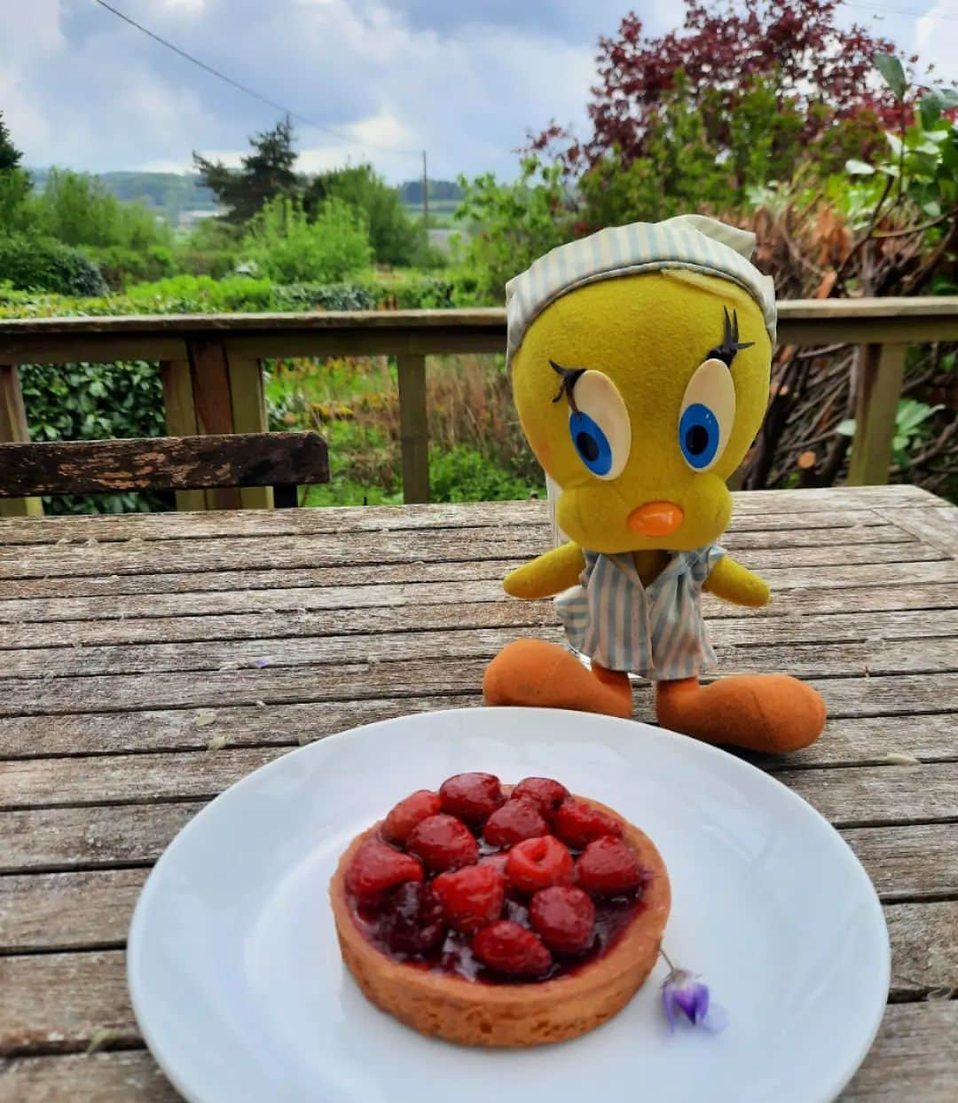 Little Yellow Birdさんのインスタグラム写真 - (Little Yellow BirdInstagram)「A delicate delicious raspberry tarte for this weeks #honeygroveteapartytuesday! #littleyellowbird #tweety #tweetykweelapis #adventures #yellow #bird #tuesday #sweet #sweettreat #tarte #taartje #raspberry #frambozentaartje #pastry #bakedgoods #gebakje #stuffedanimalsofinstagram #plushiesofinstagram」5月16日 22時29分 - tweetykweelapis