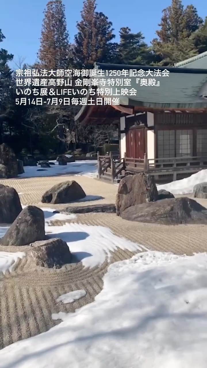 橋本昌彦のインスタグラム：「LIFEいのち展 「WARMTH I REMEMBER」  お申し込みはこちら 参加無料　各回30名限定  世界遺産高野山　 弘法大師空海御誕生1250年記念祭 「LIFEいのち特別上映&いのち展」  金剛峯寺奥殿特別公開  https://www.life-planetarium.com/koyasan  主催　高野山真言宗　総本山金剛峯寺 共催　一般社団法人Feel&Sense 後援　公益社団法人日本国際博覧会協会  #高野山 #japon #japantravel #japantrip #lifeいのち #travelphotography #koyasan」