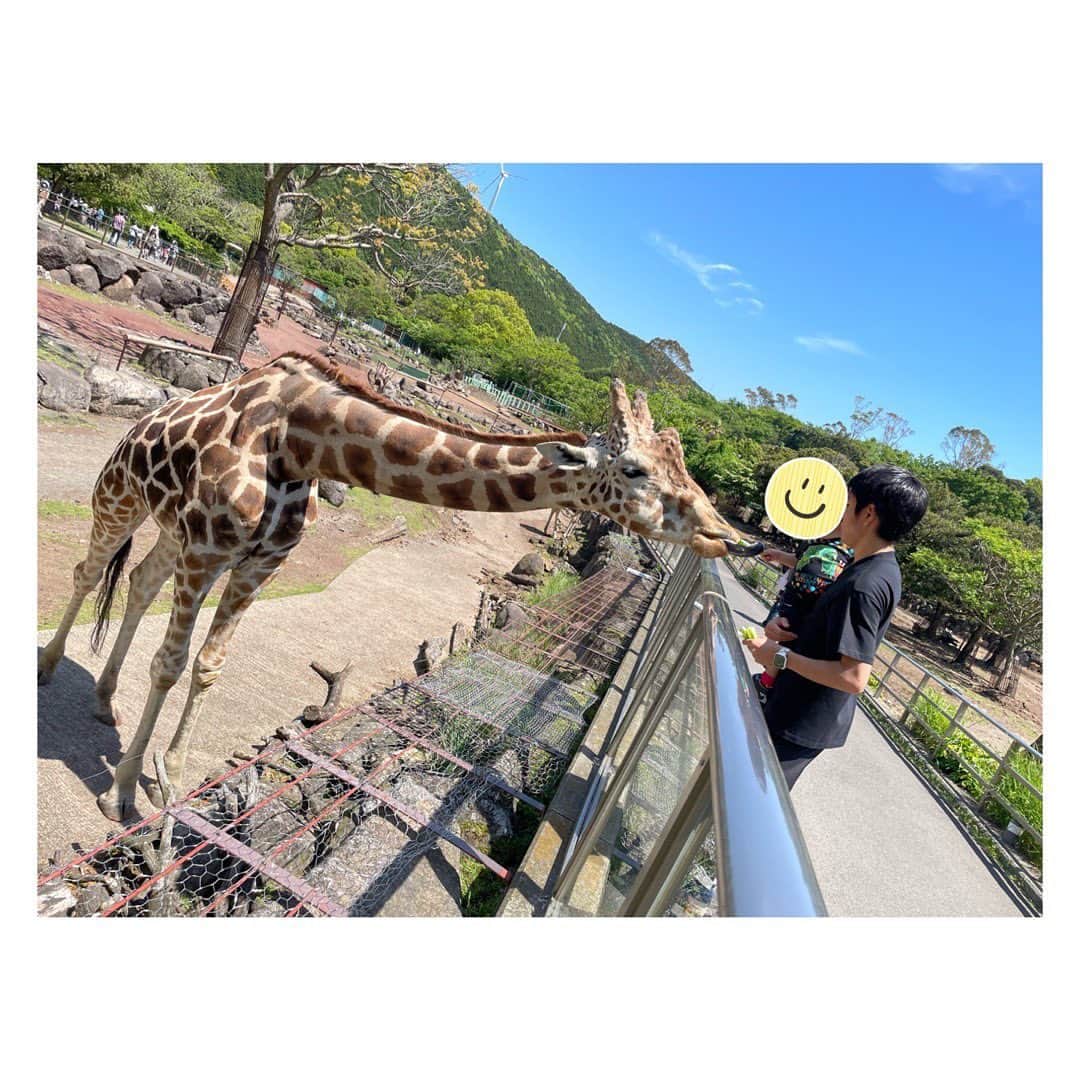 柳野玲子のインスタグラム