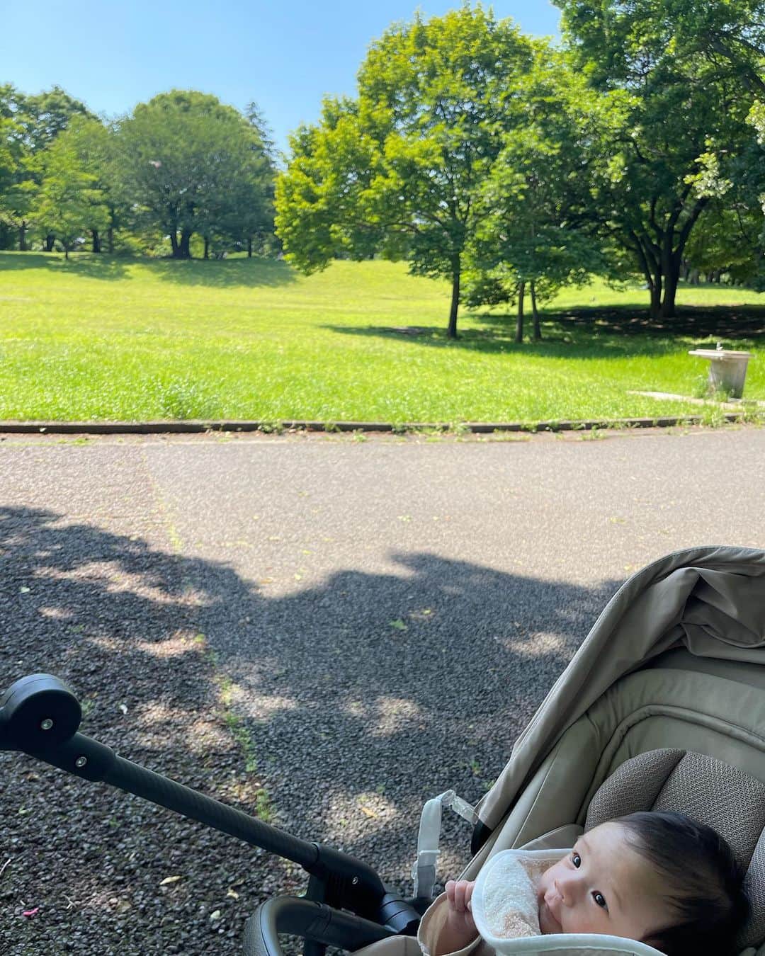 井上侑のインスタグラム：「今日は公園へ  明日はもっと暑いようですね  どうぞ皆さまお元気で、お身体大切にお過ごしください🌿  #green  #skyblue  #木陰　#お散歩　#生後44日」