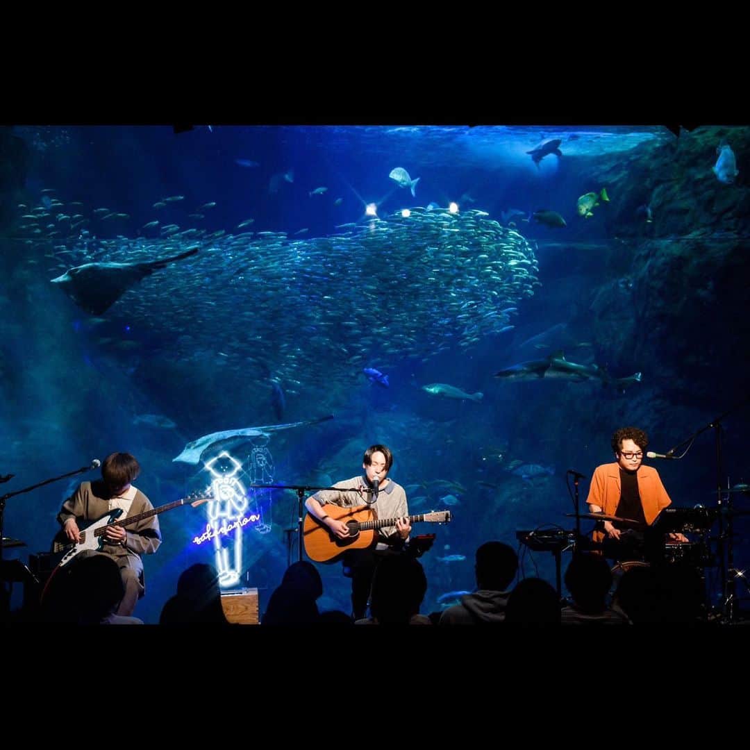 森野光晴さんのインスタグラム写真 - (森野光晴Instagram)「延期になった2020年3月から約3年の時を経て、念願の新江ノ島水族館でのライブを開催することができました。 特別な空間で鳴らす音は、やはり最高でした。  この3年の間に配信、プラネタリウム、カフェ、バー、有形文化財と、ライブハウス以外でもSAKANAMONの音楽を成立させられる事が証明できたと思います。  でもやっぱりライブハウスでデカい音出すのも好きだなぁ。  7月には憧れのバンドとのツーマンも決定しました。 思い出作りにはせず、全力で挑みたいと思います。 目撃しに来てください。  フォトバイ @ruffi_from_ydkr」5月16日 23時42分 - mrn_sakanamon