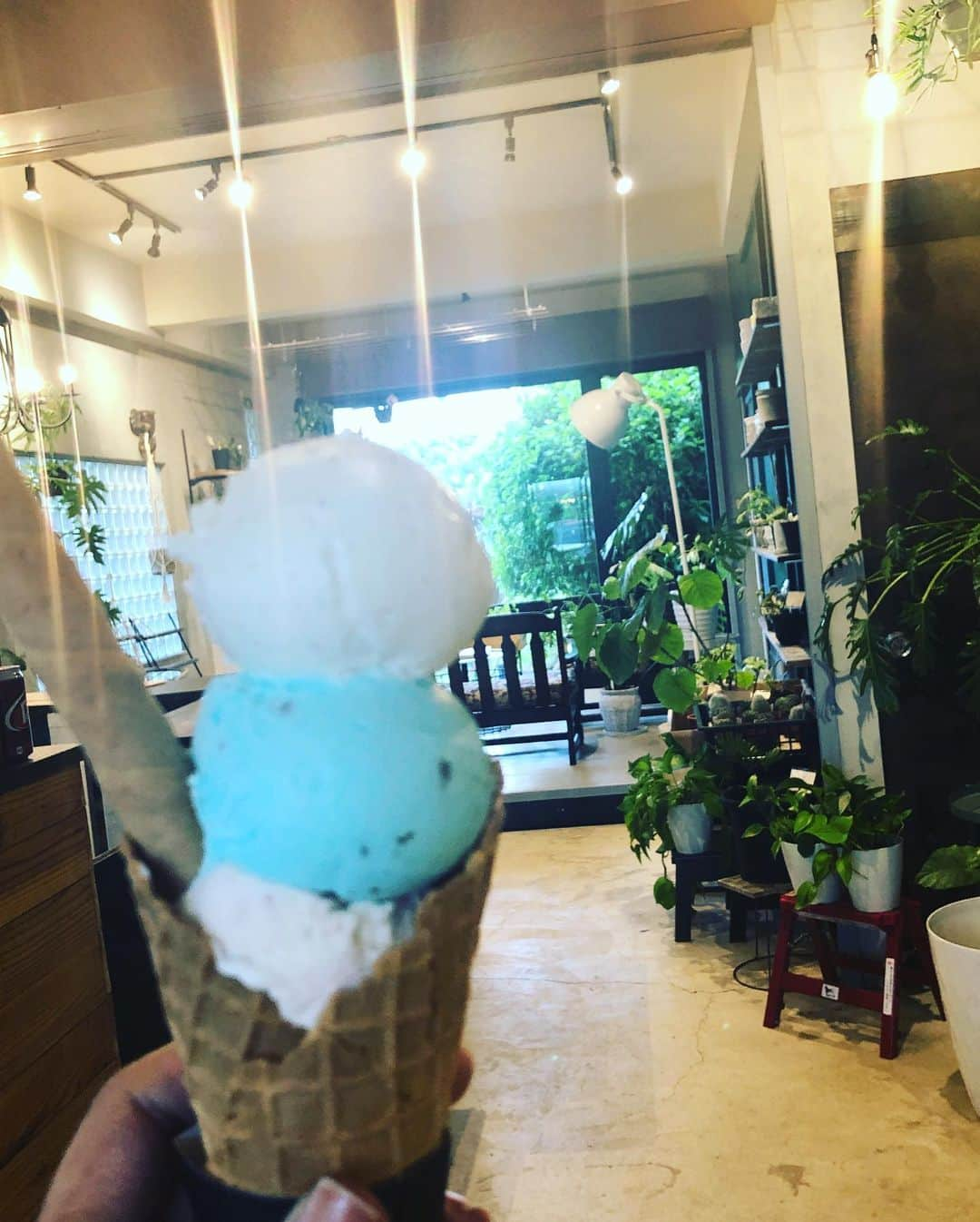 白川りささんのインスタグラム写真 - (白川りさInstagram)「バニラって奥深ぁぁ！！っ驚愕した！ #bobicecream  いままで軽んじててホントすまんかったw 語彙力崩壊するけど、ただただやばいおいしかったw 秒で食べ切ったわwww 店内おしゃれだし、とんでもなく素敵ないい気分(ｎ´ω`ｎ)  #湯河原  #アイス  #おいしいしかない🤤  #土日しかやってないから気をつけて」5月16日 23時49分 - risarisausausa