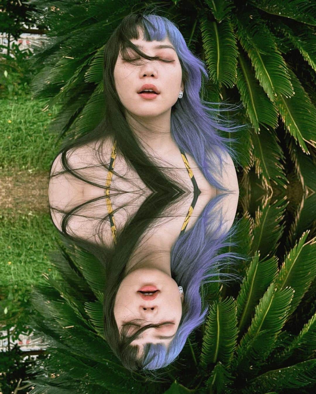 星熊南巫のグルメインスタ