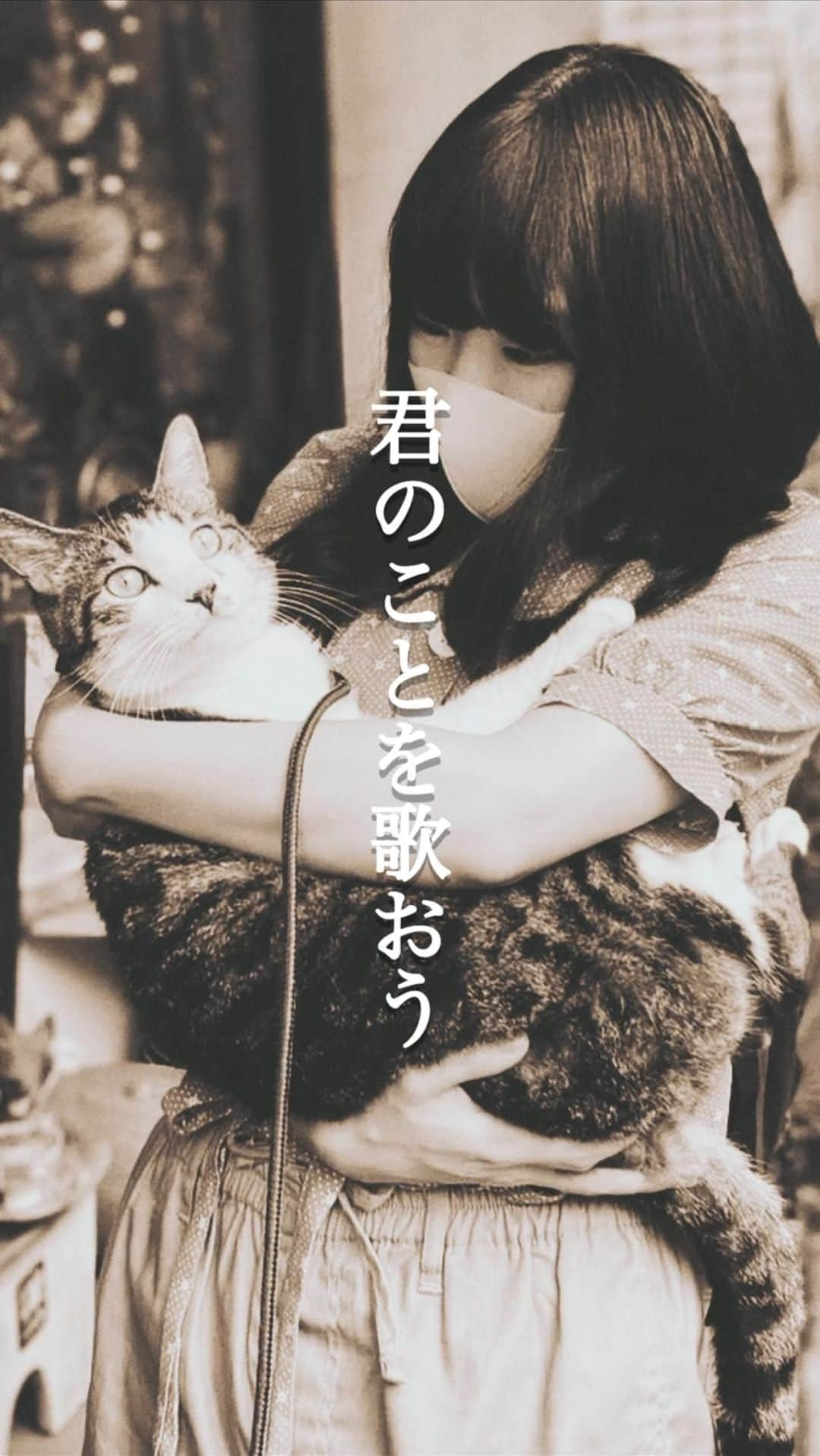 にゃんぞぬデシのインスタグラム：「君のことを歌おう ・ ・ ・ #猫　#猫のいる暮らし　#エモい　#エモい曲  #エモいとは 　#ウエディングソング  #ゼクシィ　#ゼクシィ縁結び  #オリジナル曲作ってみた #オリジナル曲 #オリジナル曲使ってね  #にゃんぞぬデシ」