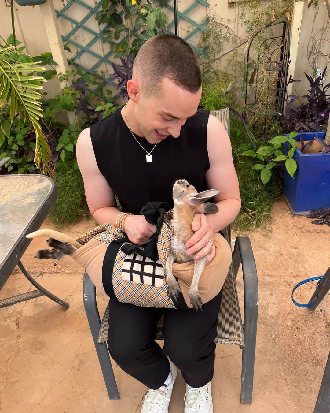アダム・リッポンのインスタグラム：「Should I adopt this baby kangaroo? Y or N?」