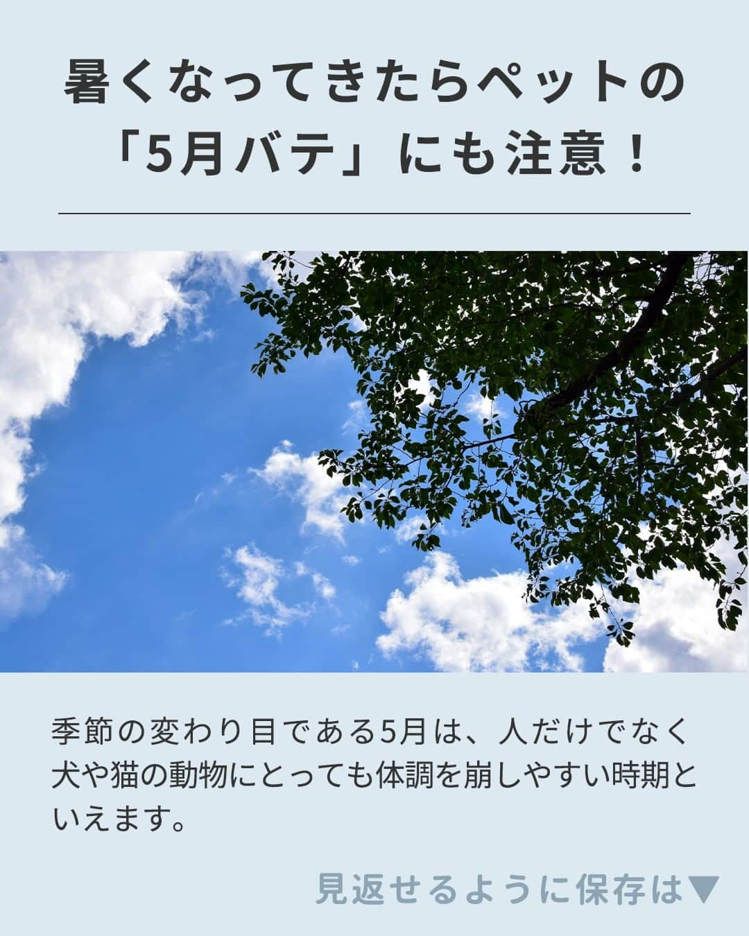 Panasonic ふだんプレミアムさんのインスタグラム写真 - (Panasonic ふだんプレミアムInstagram)「@panasonicjp ←他の投稿はこちら  ＼コメントで教えてください！／ ペットの熱中症対策どのくらいしていますか？🐶🐱  ┈┈┈┈┈┈┈┈┈┈┈┈ もう対策している！　→🙌 まだしていない！　→💦 気になる！　→🤔 ┈┈┈┈┈┈┈┈┈┈┈┈  愛する家族の熱中症対策には、ペットカメラがおすすめ！  --------------- HDペットカメラ KX-HDN215 ---------------  外出しているときも ペットの様子をスマホで確認できます！  「参考になった！」という方は、いいね❤で教えてください！ 保存しておくと後で見返すことができて便利ですよ🙌  ‐‐‐‐‐‐‐‐‐‐‐‐‐‐‐‐‐‐‐‐‐  #熱中症対策 #熱中症 #ペットカメラ #ペット #犬のいる暮らし #猫のいる暮らし #犬好き #猫好き #おうち時間 #ていねいな暮らし #おうち時間を楽しむ #panasonic #パナソニック#パナソニックと暮らす」5月17日 10時12分 - panasonicjp