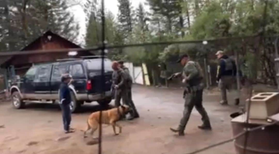 ウディ・ハレルソンのインスタグラム：「In such a heavy world I normally like to keep things light, but this recent incident in Trinity County, California really breaks my heart.  The video is too horrifying for me to post, but if you want to watch, go to @trinitycountycorruption on Instagram.  This is a perfect example of something we never see, but that is a daily part of the absurd war on drugs, which is really a war on non-corporate drugs, and truthfully, a war on people.  Mostly nonwhite people.  I believe in the libertarian notion that if you don't hurt another person or their property, and no contract has been breached, there is no crime.  This gentleman, Nhia Pao Yang, is a small, 72 year old H'mong, and a legal grower in Trinity county.  The sheriff pepper sprayed his dog, cut his fence lock, and when they went to arrest him, the already brutalized dog reacted as it should.  I'm a dog lover and this is unconscionable behavior.  One step back would have put the deputy out of reach of the leash.  I guess there was some issue with the county permit, but you don’t send 9 cops in riot gear with their guns drawn for a code violation.  Why is this unjust war against people continuing, even in a state where cannabis is legal?  This war continues because, like most war, it's extremely lucrative for some.  88% of Americans believe pot should be legal and common sense tells you this absurd, money-making war never stopped a single person from consuming what they want.  The only real crime in this war on humanity appears to rest with the warmonger.   Wouldn't it be better to take the billions they use every year to fight this drug war and divert it to something necessary and important like regenerative agriculture or combating global warming or helping vets?  I could come up with 500 things that would better serve the country than this continuous brutality.」