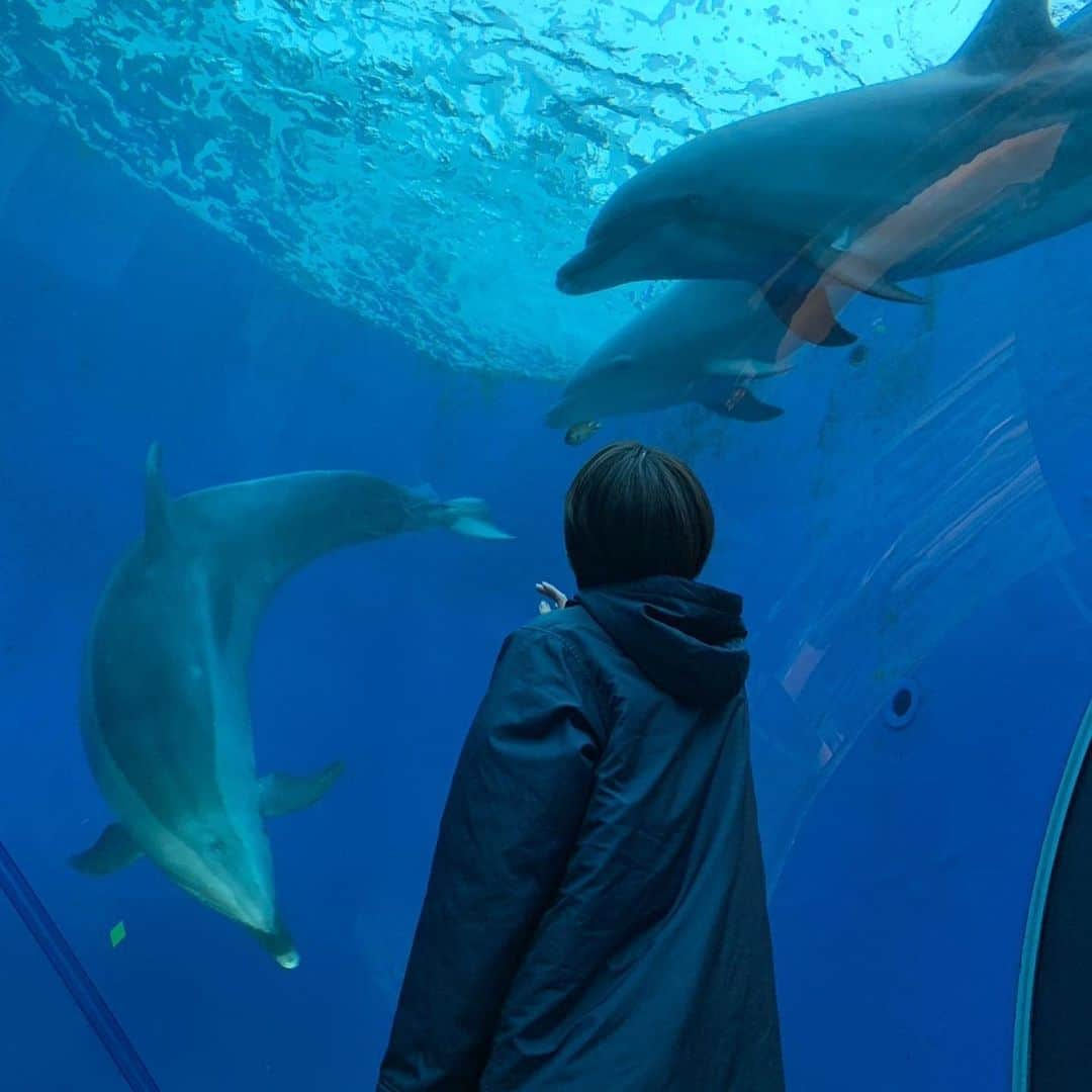 倉科カナさんのインスタグラム写真 - (倉科カナInstagram)「あっという間に水曜日！！！ 本日「隣の男はよく食べる」オンエアです☺️ 水族館に行きました✨ 癒されましたぁ☺️ ここのソフトクリームが美味しすぎた♡  そして、このセイウチさんは、、 多分、かゆい訳ではないと思う。。 #隣の男ははよく食べる」5月17日 11時11分 - kanakurashina_official