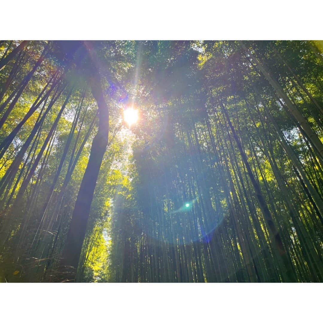 木下晴香のインスタグラム：「☀️ ⁡ ここ数日は、行ったり来たりじゃなく しばらく京都に滞在中… 写真は嵐山の竹林の小径です🌿 ⁡ 空いている時間で京都をしっかり味わいつつ、撮影に励んでいます💪 もうそろそろちゃんとお知らせしますね！ ⁡ 全国的にすごく暑くなる今日 しっっかり水分補給しながら過ごされてください😌」