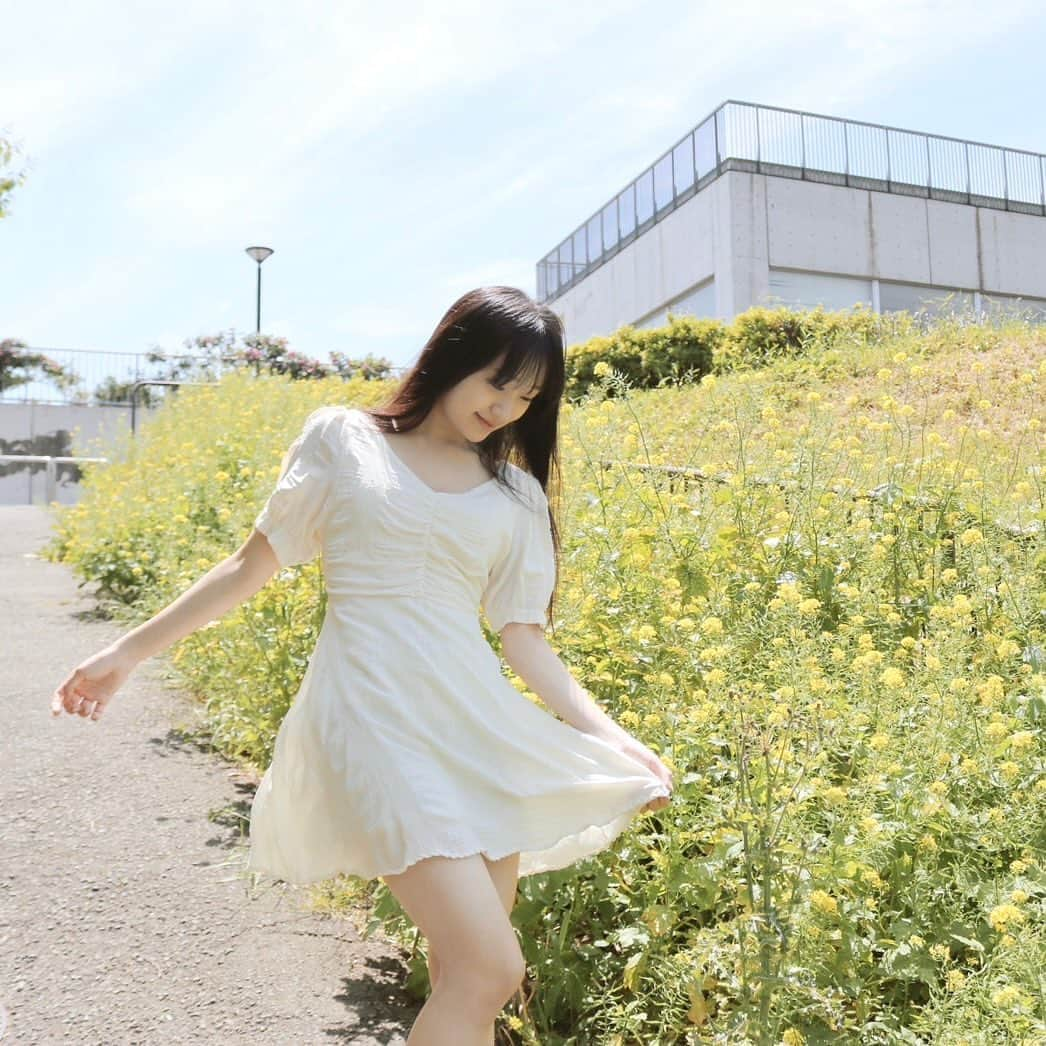 前野えまさんのインスタグラム写真 - (前野えまInstagram)「🌼🌼🌼 ・ ・ #一面の花  #晴れた日に   #goodmorning  #yellowflowers  #girlportrait #actress #actor #girl #photography #portrait #japanesegirl #portraitphotography #daily_phot_jpn #japan_daytime_view」5月17日 6時23分 - maeno_ema