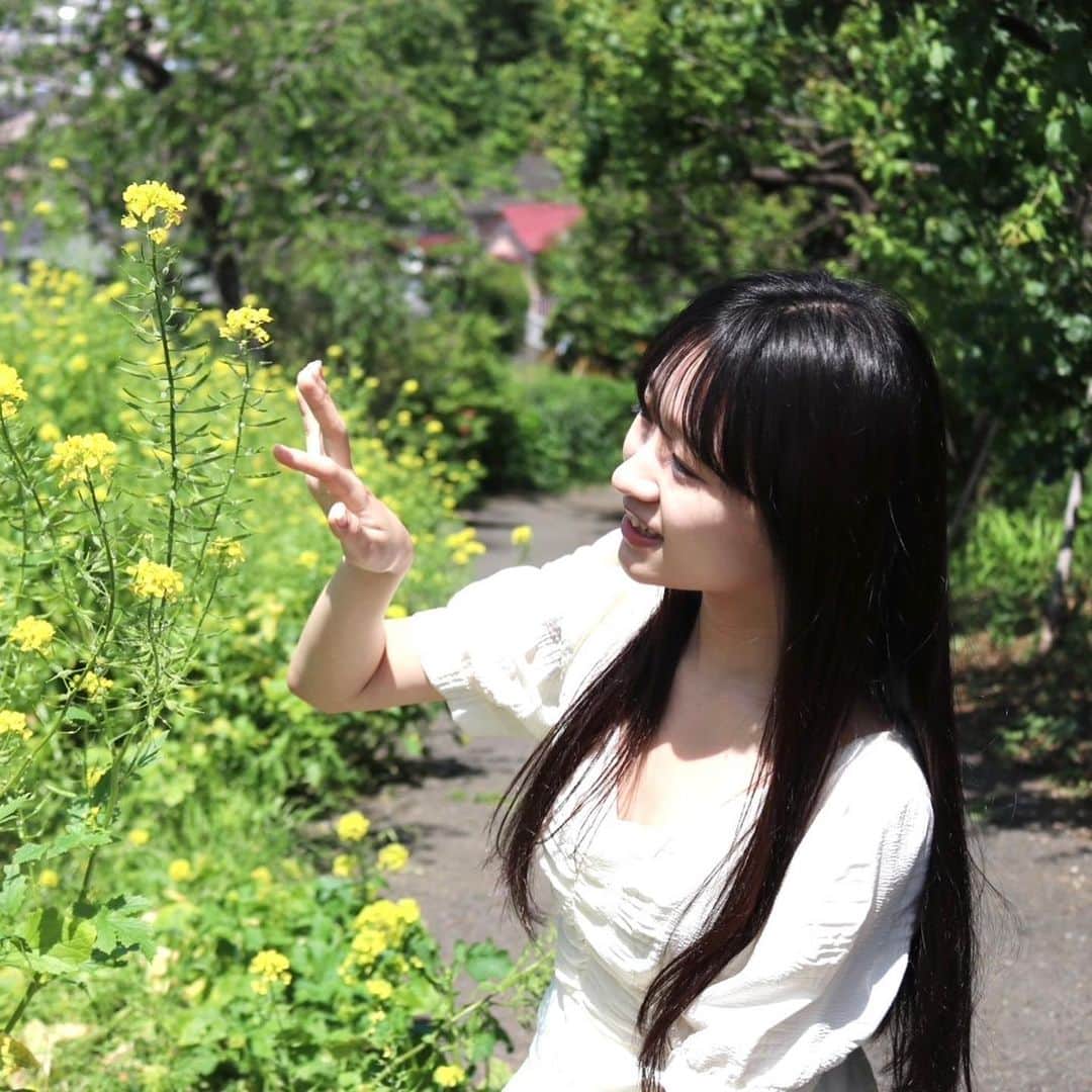前野えまさんのインスタグラム写真 - (前野えまInstagram)「🌼🌼🌼 ・ ・ #一面の花  #晴れた日に   #goodmorning  #yellowflowers  #girlportrait #actress #actor #girl #photography #portrait #japanesegirl #portraitphotography #daily_phot_jpn #japan_daytime_view」5月17日 6時23分 - maeno_ema