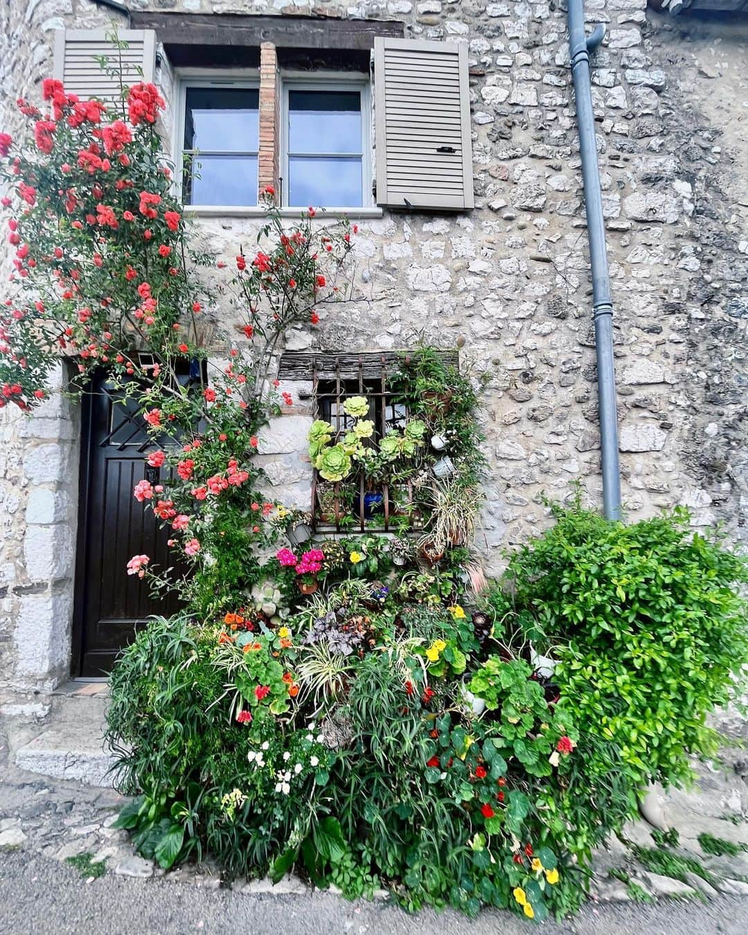 木村心美さんのインスタグラム写真 - (木村心美Instagram)「Walk around St. Paul de Vince 🕺🏻✨ hello from France🥴🤩 @diorbeauty」5月17日 6時49分 - cocomi_553_official