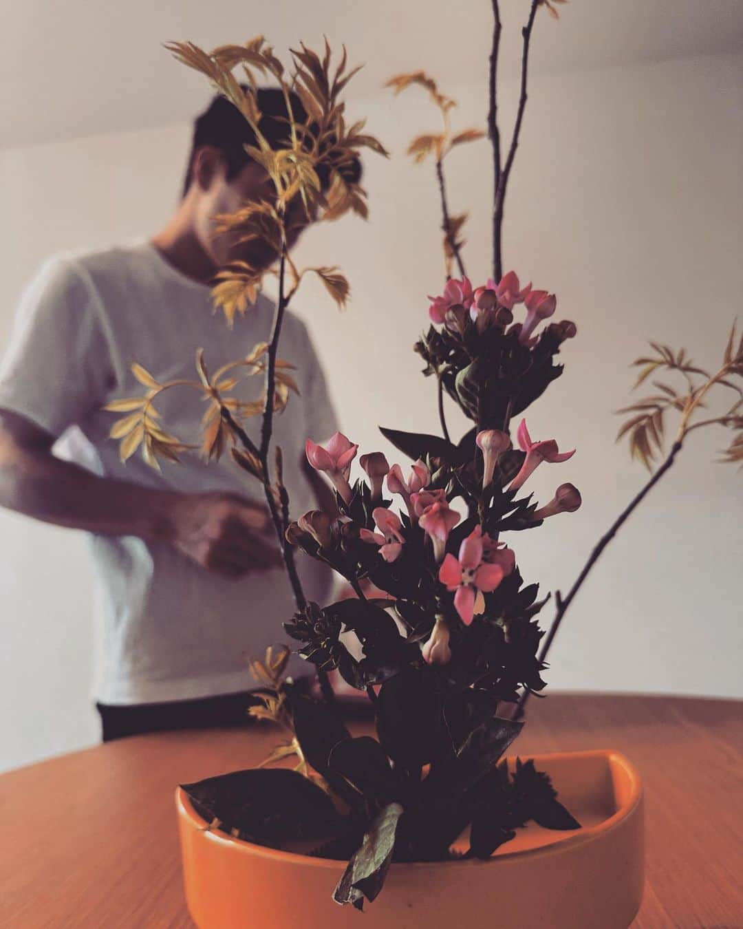 のインスタグラム：「家でも練習していますが上手になっているのかどうか。😅 よくわからないですが  花が好きで学ぶのが好きだからコツコツ続けてられています。  たてるかたち 花材はナナカマド、ブバリア  ナナカマドは七回釜で焼いても灰にならないという意味があるそうです。  丁寧に教えて下さる先生のおかげで楽しく学べています。  #江幡塁　#華道　#日本　#学び」