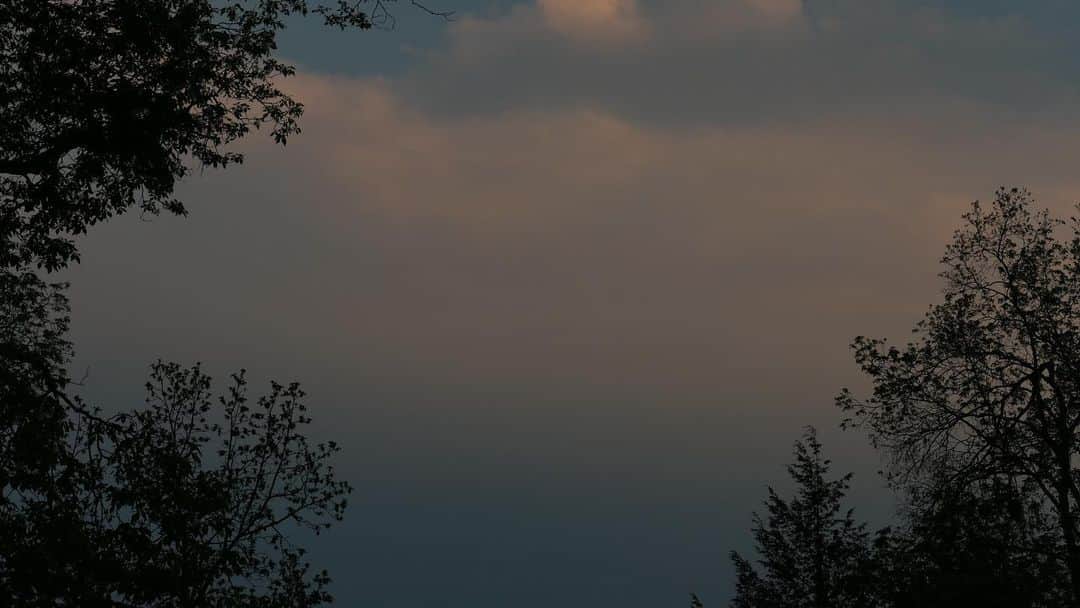 アマンダ・サイフリッドさんのインスタグラム写真 - (アマンダ・サイフリッドInstagram)「Farm at dusk」5月17日 9時44分 - mingey