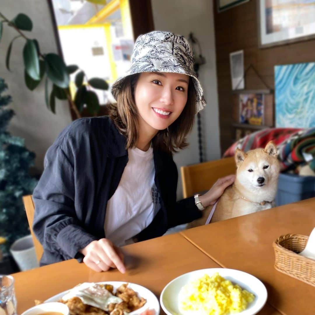 本条舞さんのインスタグラム写真 - (本条舞Instagram)「ころちゃん🐕とランチ☺️ 癒しの時間。  #犬カフェ #名古屋犬カフェ #犬のいる暮らし #犬好きな人と繋がりたい #犬のいる生活 #柴犬 #shibainu #shiba #shibadog #豆柴 #mameshiba」5月17日 20時56分 - mai_honjyo_official