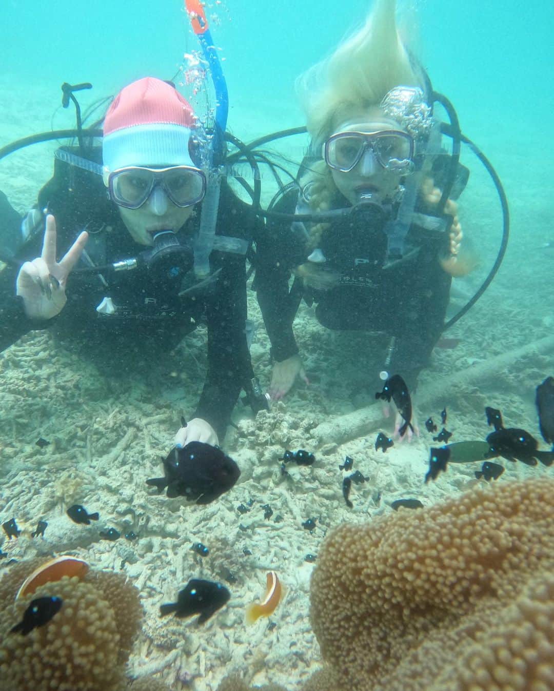 川崎怜奈さんのインスタグラム写真 - (川崎怜奈Instagram)「🏝🐠🫧🤿 盛れるのはダイビング前だけ。 海の中では一生ネタです。爆笑 #髪の毛なんやねん  しんど🤣🤣 #写真の時くらい息吐くの我慢しろ . マンタに会えた奇跡🫧感動… 1番大きくて6畳くらいあるらしい デカすぎてビビる笑笑 . . . #石垣 #石垣島 #ダイビング #ダイビング女子 #シュノーケル」5月17日 20時04分 - layna_lllllll