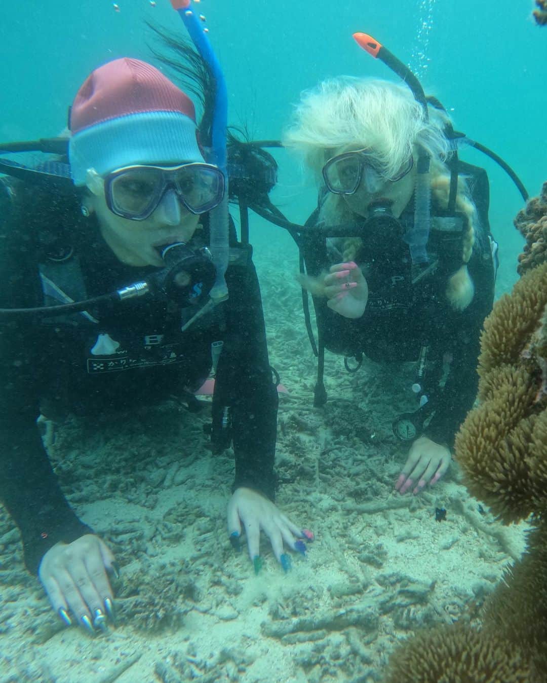 川崎怜奈さんのインスタグラム写真 - (川崎怜奈Instagram)「🏝🐠🫧🤿 盛れるのはダイビング前だけ。 海の中では一生ネタです。爆笑 #髪の毛なんやねん  しんど🤣🤣 #写真の時くらい息吐くの我慢しろ . マンタに会えた奇跡🫧感動… 1番大きくて6畳くらいあるらしい デカすぎてビビる笑笑 . . . #石垣 #石垣島 #ダイビング #ダイビング女子 #シュノーケル」5月17日 20時04分 - layna_lllllll