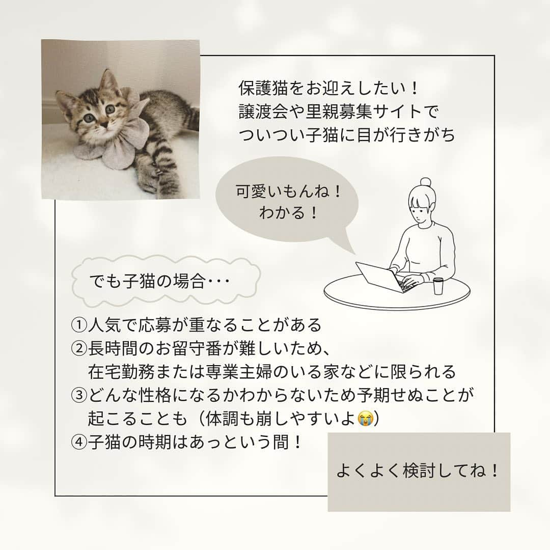 こむぎさんのインスタグラム写真 - (こむぎInstagram)「* 成猫はたまらなく可愛い！！ 子猫ももちろん可愛いけど、成猫の魅力を伝えたくて投稿にまとめてみました〜🤗✨ (文字いっぱいで読みにくくてごめんなさい😂)  ここ数年で保護猫のことを知ってもらう機会が増えました。 猫を飼う時にペットショップからではなく、「保護猫をお迎えしよう」という選択肢を選ばれる方が増えたのは本当に本当に喜ばしいことです🥺✨  でも実はその中で、どうしても子猫に応募が集中してしまい、ずっとずっと本当の家族と出会えることを待っている成猫たちがいることも知っていただきたくて、今回このような投稿をすることにしました☺️  成猫は慣れるのに時間がかかるかもしれない。 持病があったりハンデを持っている子もいるかもしれない。 それでも本当に少しずつ心を開いてくれる姿は、めちゃくちゃ可愛くて愛おしい😭 持病もハンデもその子の個性としてまるっと受け止めて、愛してくださる方との出会いを待っています🙏🏻  猫をお迎えを検討されている方に、ぜひとも里親さんが見つかりにくい子たちの存在を知っていただけたら嬉しいです☺️  どうかすべての猫が幸せになれますように🙏🏻✨  #拡散希望　  #保護猫 #成猫を家族に  #成猫の魅力を伝えたい  #成猫から飼うという選択肢   #里親募集 #里親募集中 #里親募集猫 #里親募集中猫   #岐阜多頭崩壊レスキュー 現在こちらで里親募集中の子たちは 多頭崩壊現場出身の5匹→ @comugineko  猫エイズのしまくん、猫白血病のポン子ちゃんです🙏🏻」5月17日 20時21分 - tomochunba