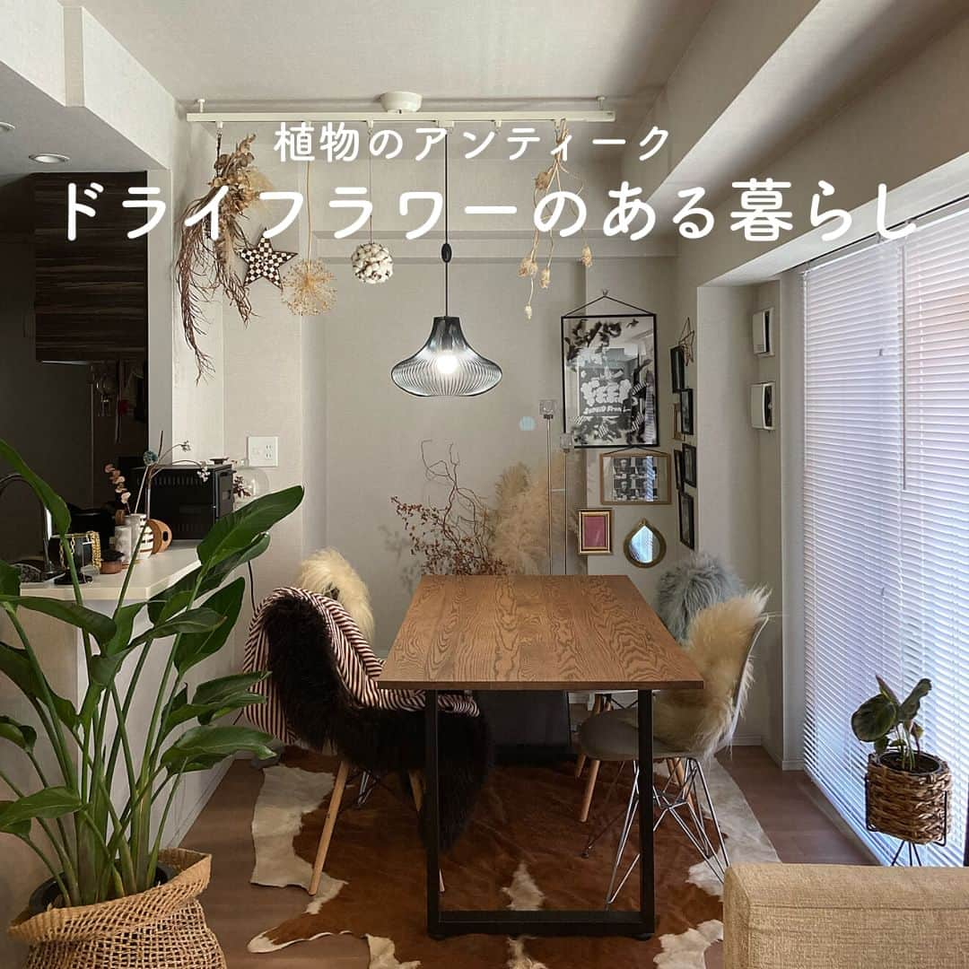 RoomClipJPさんのインスタグラム写真 - (RoomClipJPInstagram)「植物のアンティーク ドライフラワーのある暮らし ドライフラワーを飾ることで部屋にマイルドな彩りをプラスできたり、植物ならではの癒しをもたらしてくれます。  ライティングレールやお風呂場などに工夫してドライフラワーを飾っているiwammmさん。花だけでなく枝物の取り入れ方も参考になりますね。 ---------------------------------------  Photo:iwammm RoomNo. 1666614   --------------------------------------  この部屋のインテリアはRoomClipのアプリから ご覧いただけます。  アプリはプロフィール欄から ▶︎ @roomclipjp  ------------------------------------  500万枚以上集まる中から リアルな部屋のインテリア写真を毎日発信！  ------------------------------------  #一人暮らし #ひとり暮らし #大人の一人暮らし #一人暮らしインテリア #部屋づくり #部屋作り #お部屋づくり #おしゃれインテリア #一人暮らし部屋 #一人暮らしルーム #暮らしの日記#雑貨好き #雑貨好きな人と繋がりたい #丁寧な暮らしに憧れる #くらしを楽しむ #インテリア好き #日々のくらし#ドライフラワーインテリア#ドライフラワーのある暮らし#ドライフラワーのある生活#ドライフラワースワッグ#植物のある暮らし#植物のある生活#好きなものに囲まれた暮らし#暮らしをたのしむ#こだわりの家 #雑貨好き #雑貨好きな人と繋がりたい#roomclip #ルームクリップ」5月17日 20時30分 - roomclipjp