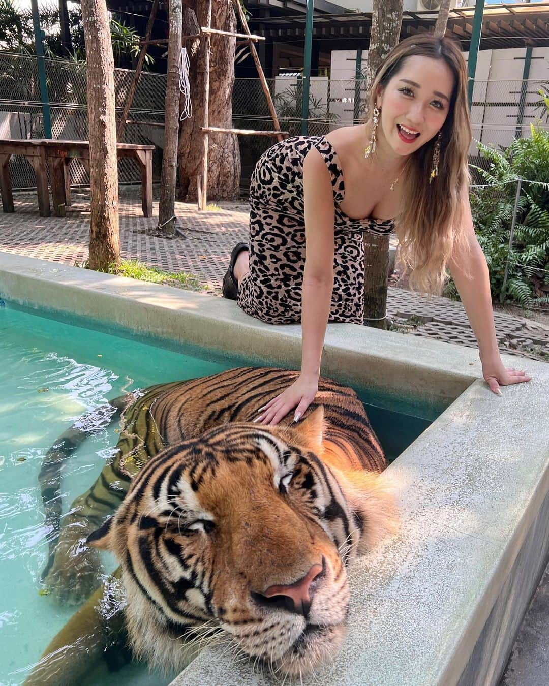 Yumikaさんのインスタグラム写真 - (YumikaInstagram)「🐅🐅🐅  タイ暑い🔥🔥  #pattayathailand #tigerpark」5月17日 11時56分 - yuminem923