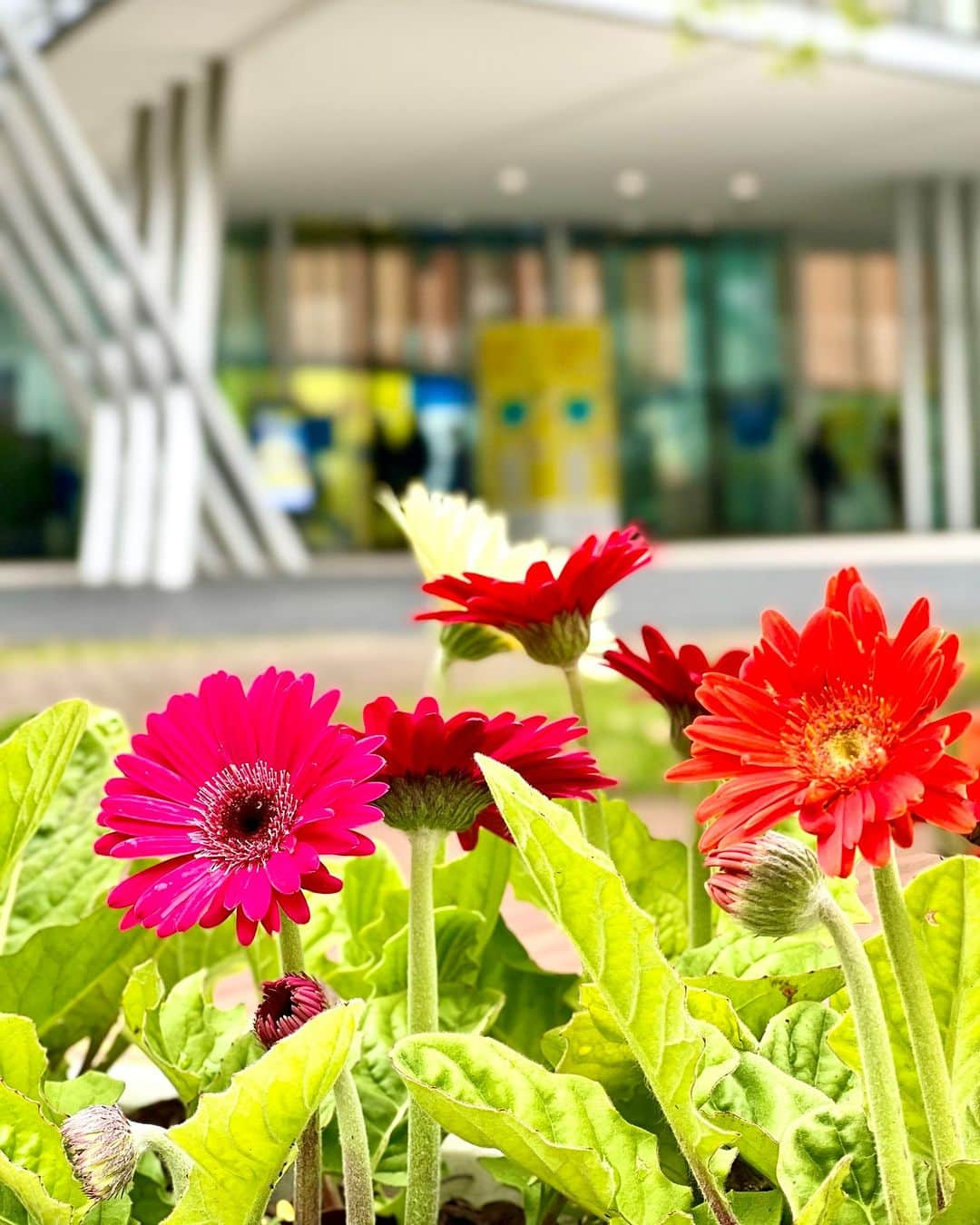 Miraikan, 日本科学未来館のインスタグラム