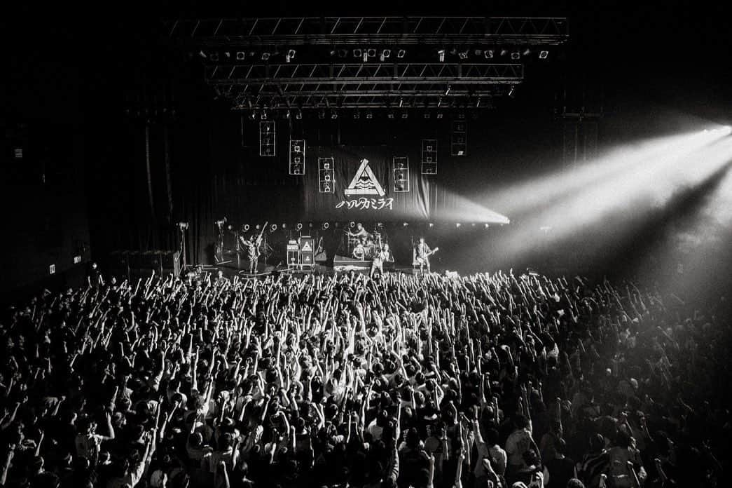 ハルカミライのインスタグラム：「2023/05/13（Sat） Zepp Osaka Bayside ハルカミライ presents 「ヨーロー劇場 2023 - FLOWER JOE -」  Photo by @ayumu10.18」