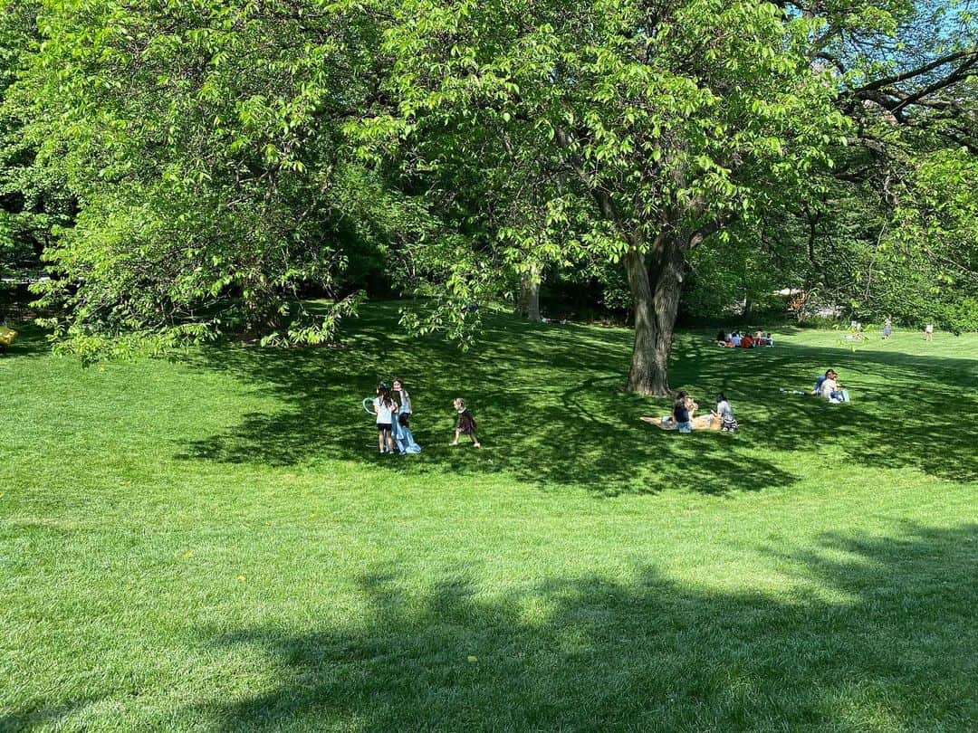 桐島かれんのインスタグラム：「きのう、夫がセントラル・パークで撮った写真。  #上田義彦#centralparknyc #nyc#yoshihikoueda」