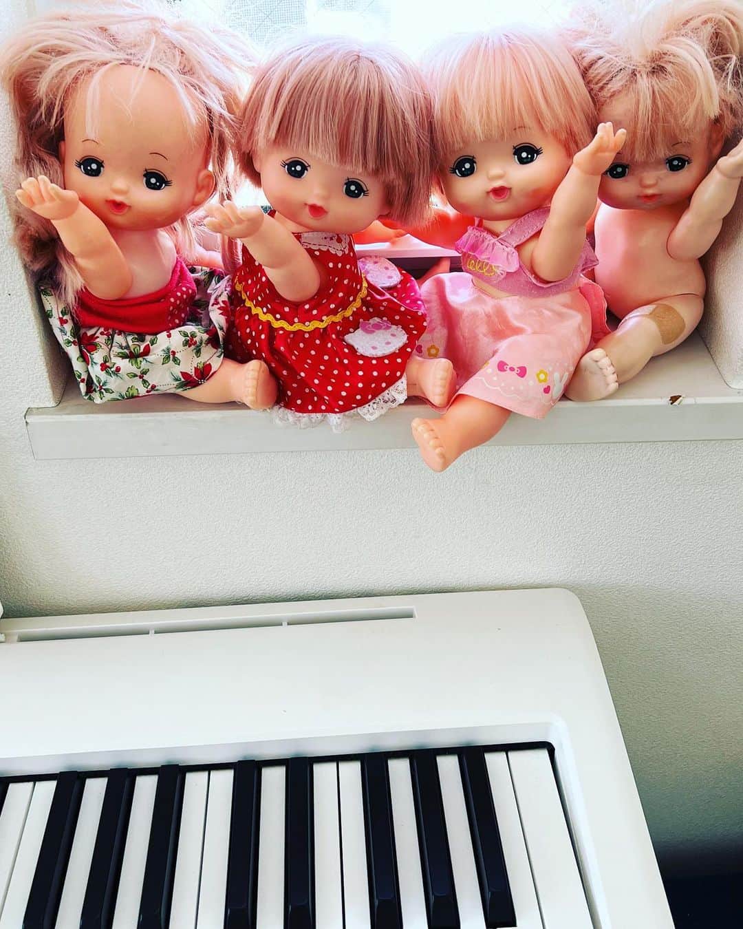池田鉄洋のインスタグラム：「我が家の窓辺のコーラスグループ  って、メルちゃん、こんなに増えてたの！？（ご近所さんのお下がりをいただいたらしい）」