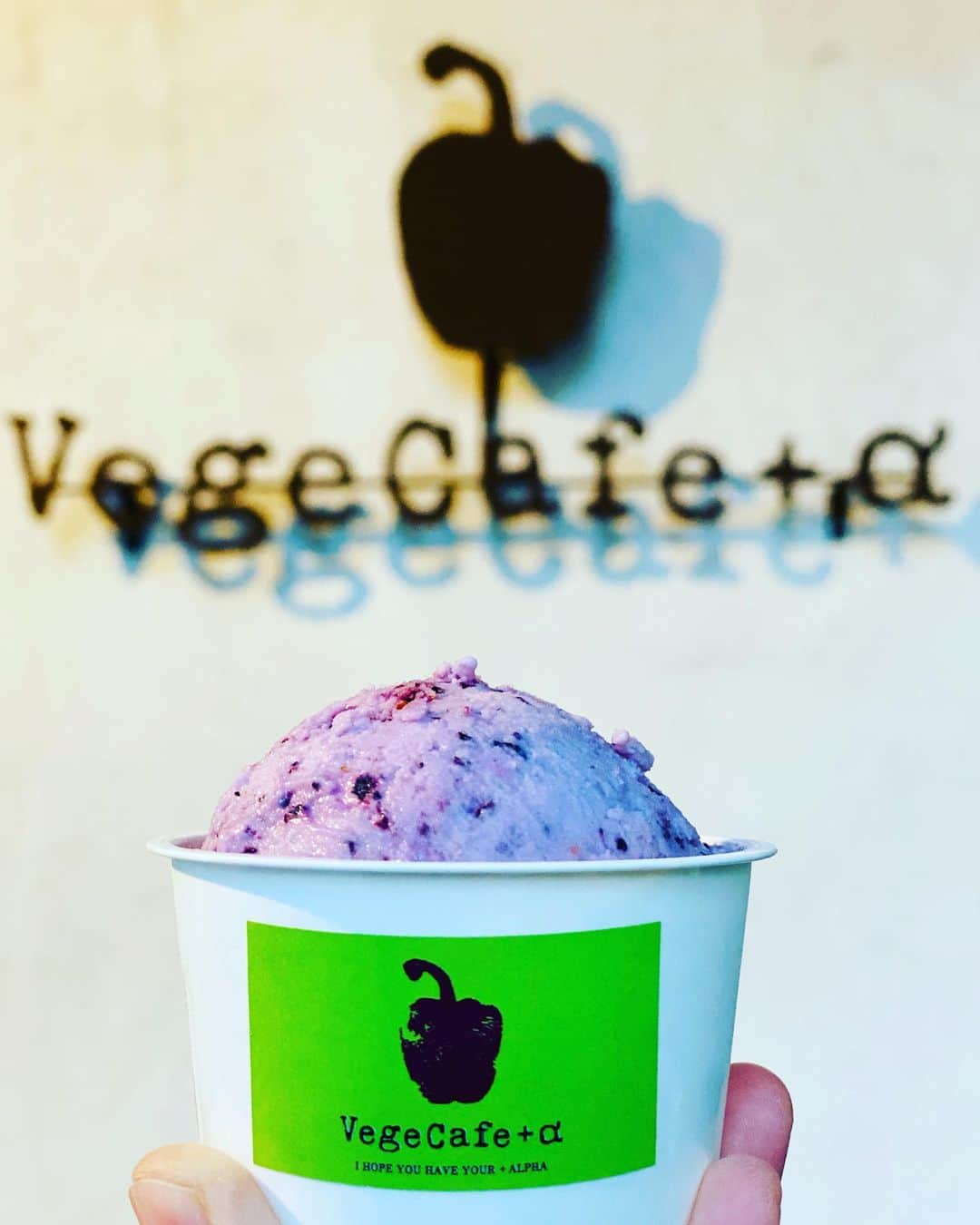 vegecafe＋αのインスタグラム：「ブルーベリーヨーグルトプロバイオ🍨  今日は、 気温が30℃まで 上がるとか上がらないとか☀️😲  そんな日は、 やーっぱりジェラート😋 食べたくなりますよね❤️  本日のおすすめは🍨 ミルクベースの ブルーベリーヨーグルトプロバイオ🫐 ヨーグルトの爽やかな酸味と ブルベリーの果実味が見事にマッチした フレーバーです😋  #vegecafe#vegecafe_plus_α #ベジカフェ#ベジカフェプラスアルファ #ベジカフェプラスアルファー #新大阪グルメ #新大阪カフェ #新大阪ランチ#西中島南方グルメ #西中島グルメ #西中島南方ランチ #西中島南方カフェ #ジェラート#アイス部 #ジェラート屋さん」